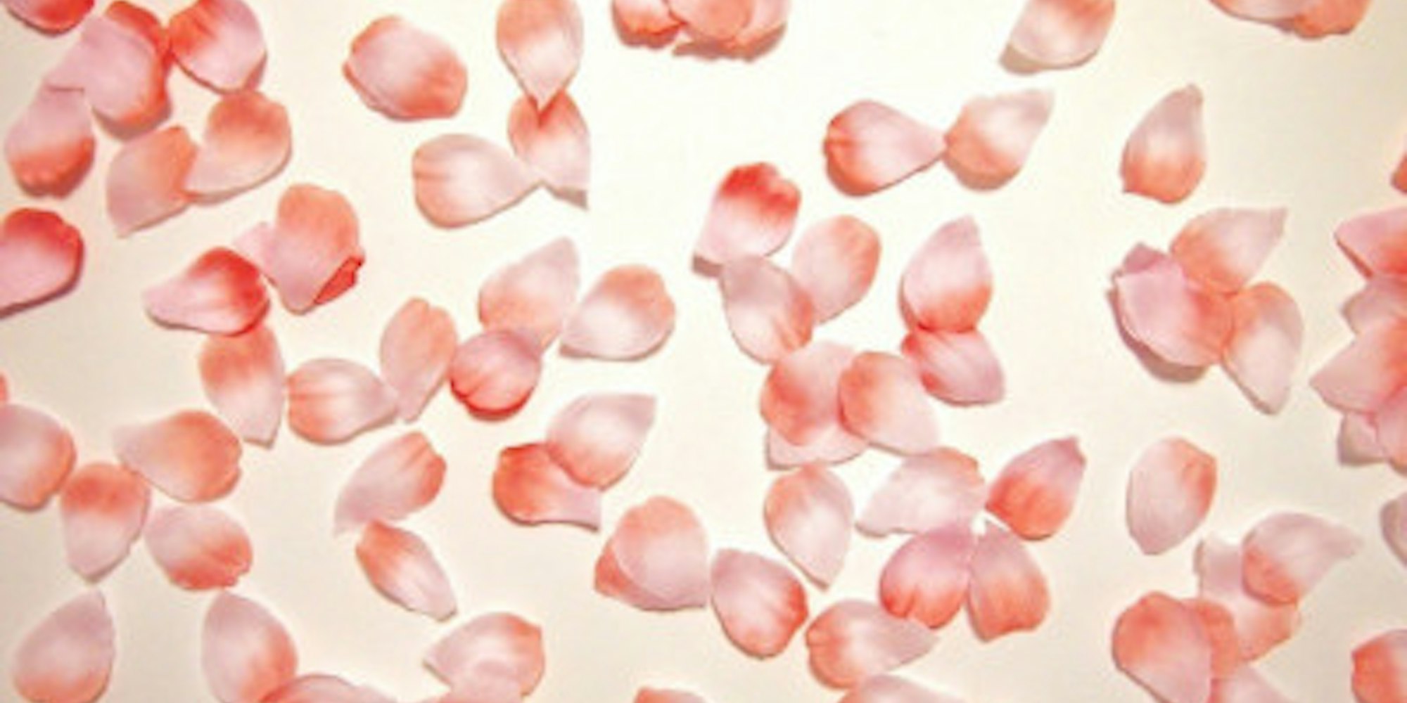 季節のモチーフを取り入れる