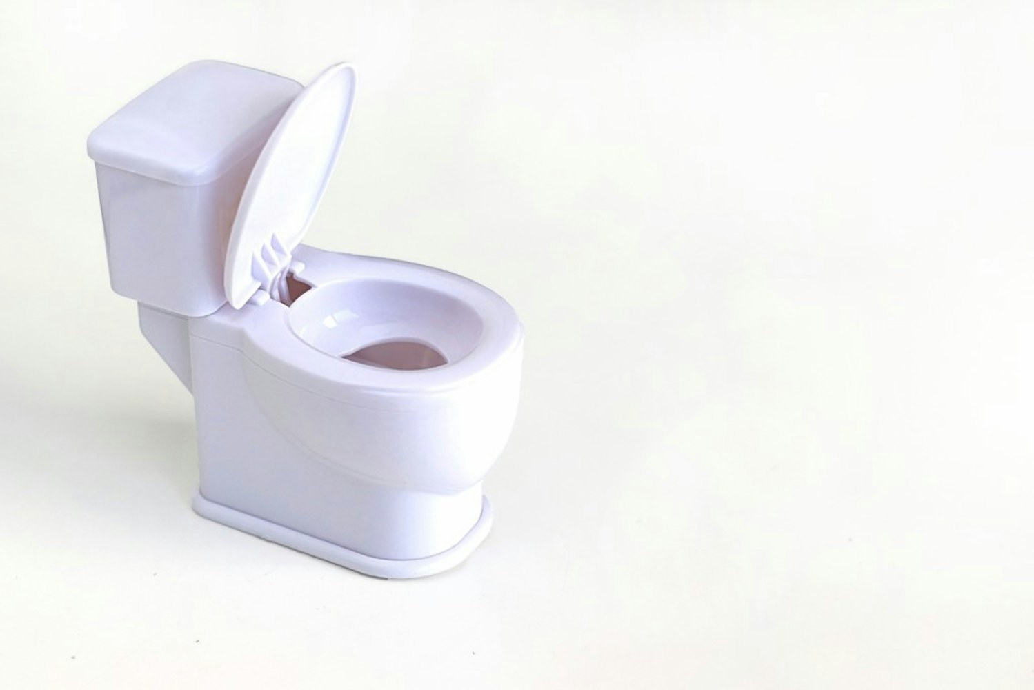 洋式トイレがおすすめ