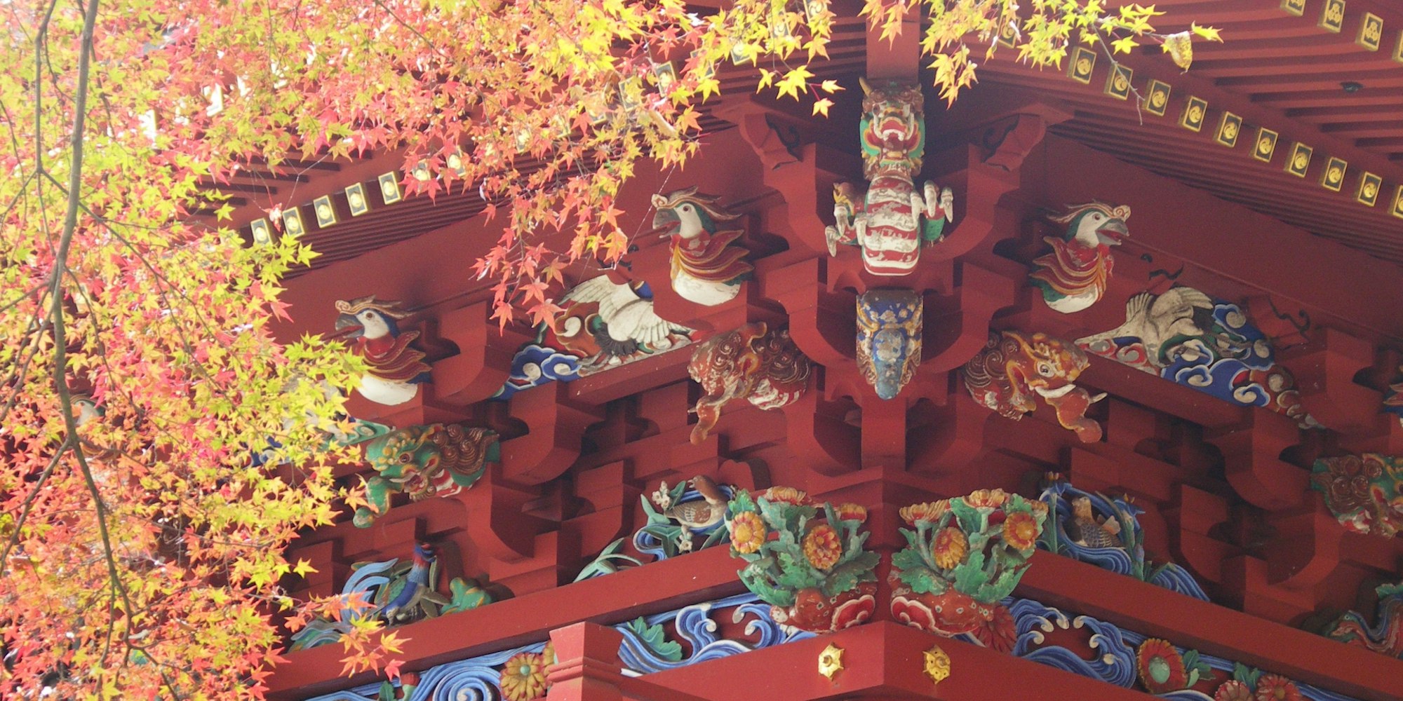 東京の自然を味える場所|高尾山