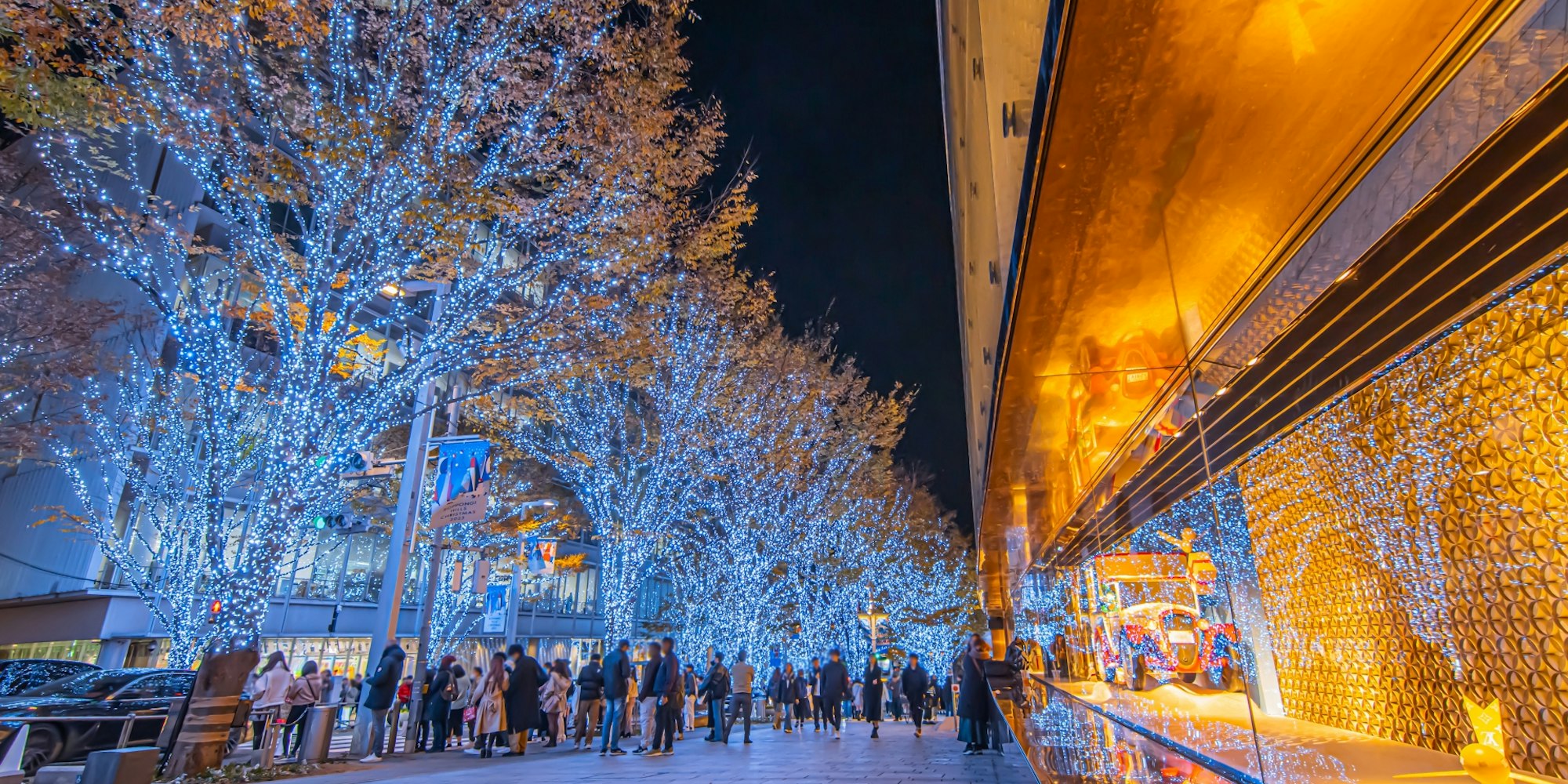 美しい夜景を撮るなら|六本木ヒルズ