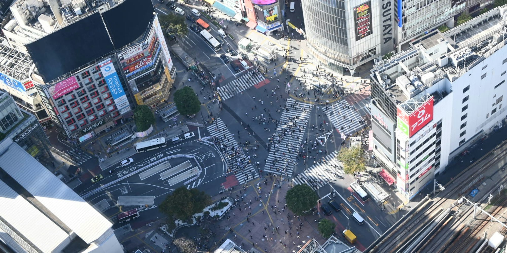 渋谷で最も高いフォトスポット|SHIBUYA SKY
