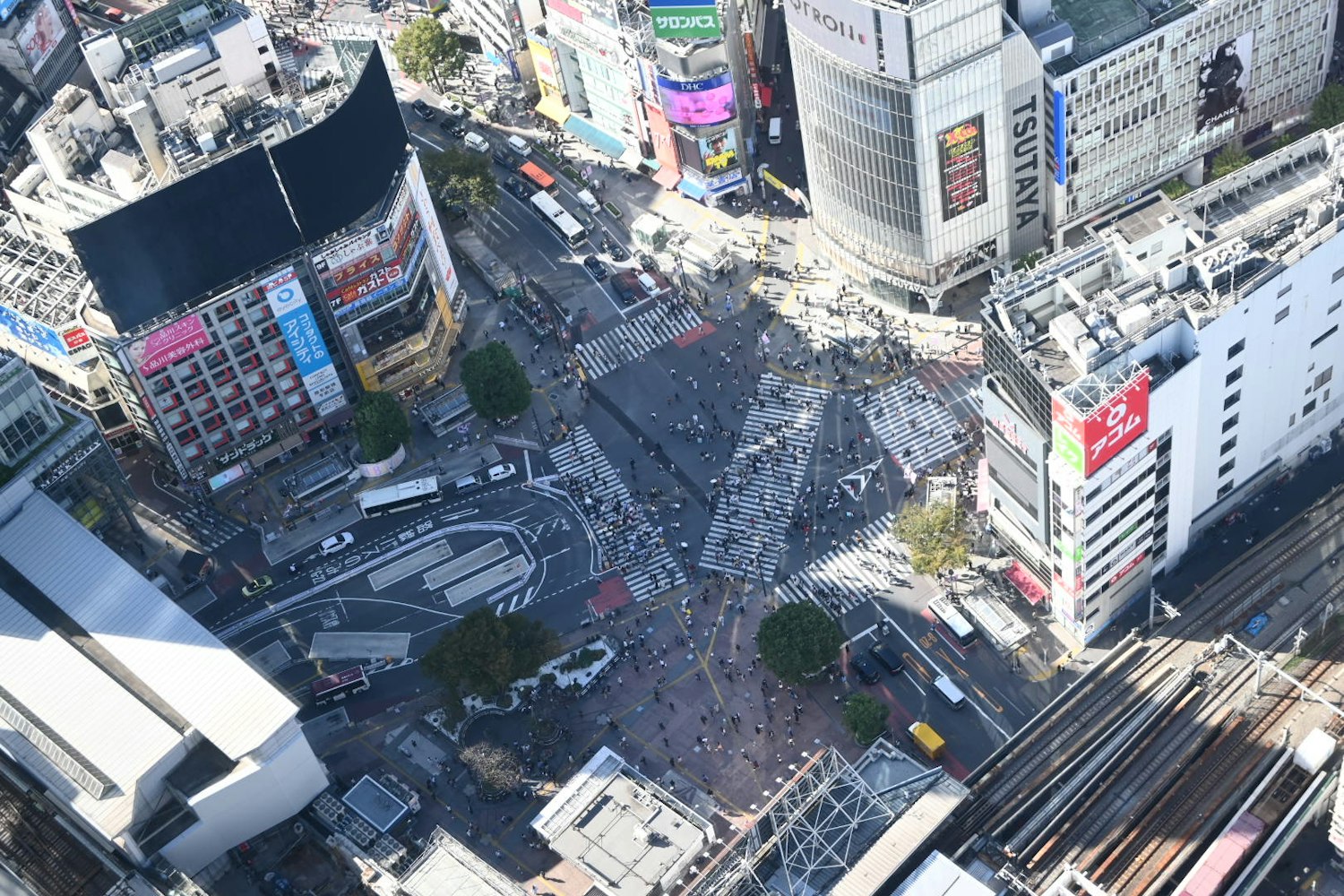 渋谷で最も高いフォトスポット｜SHIBUYA SKY