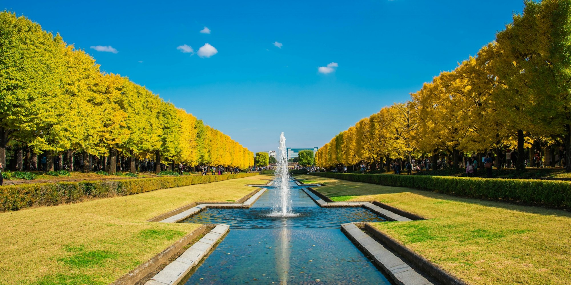 四季折々の季節を残す|国営昭和記念公園