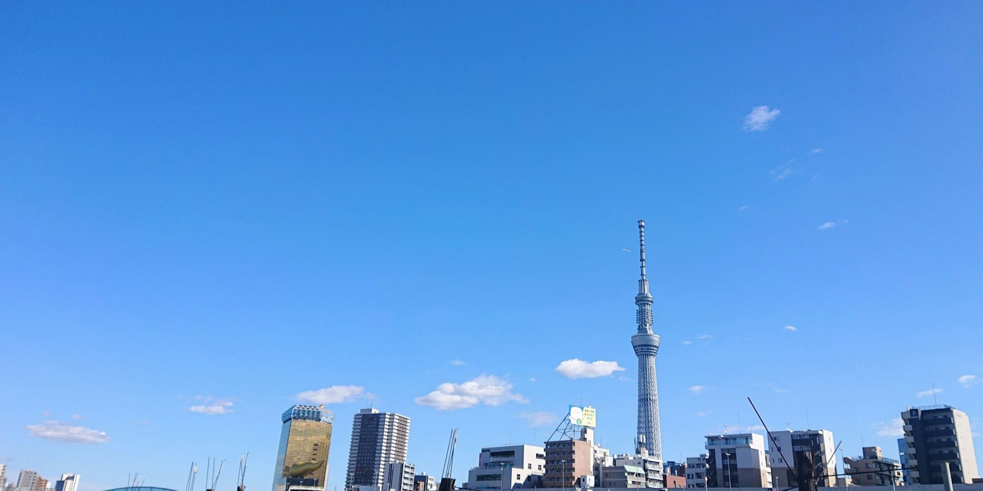 デートにもおすすめ|隅田川テラス