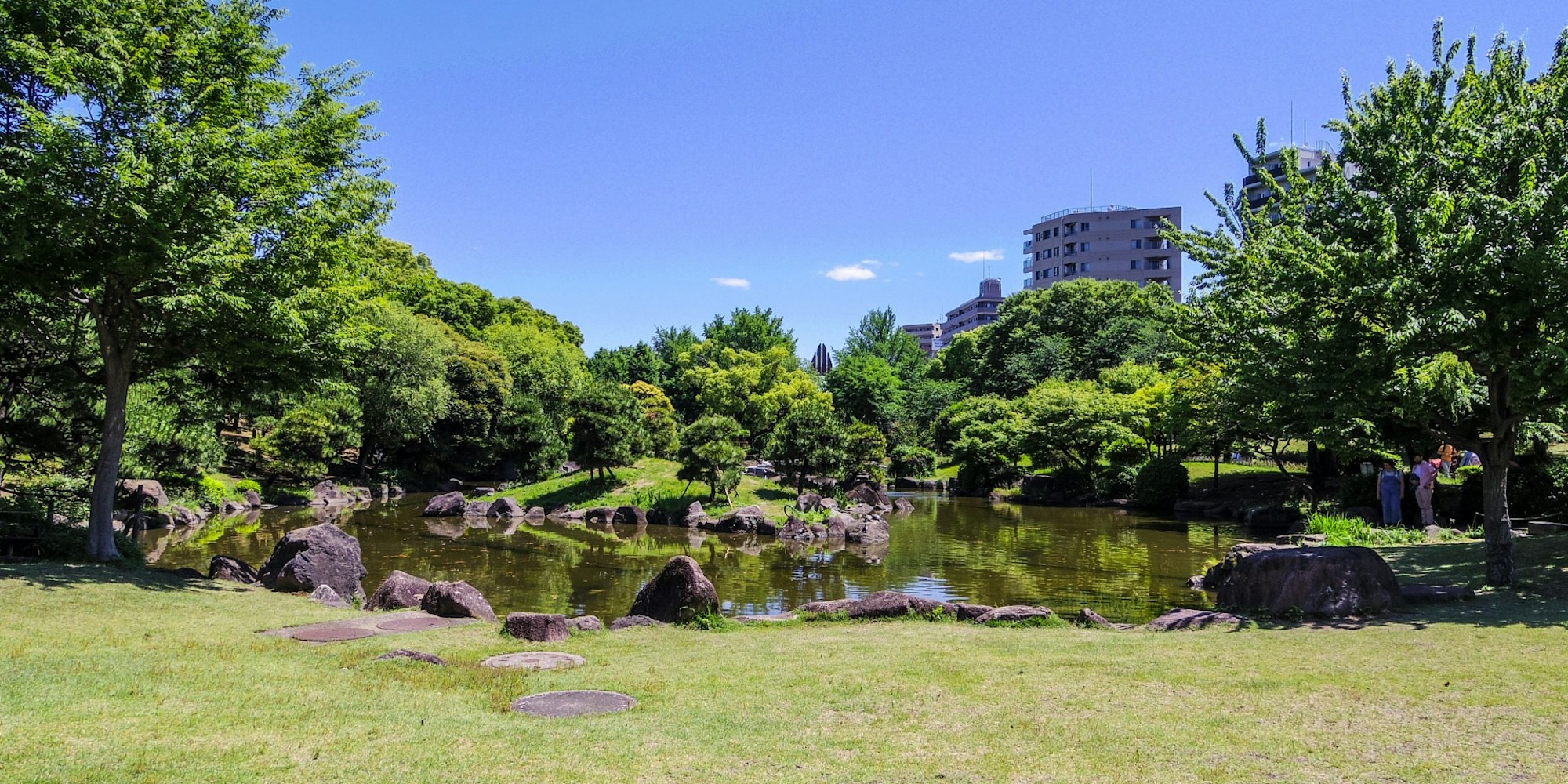 春の浅草を彩る桜|隅田公園
