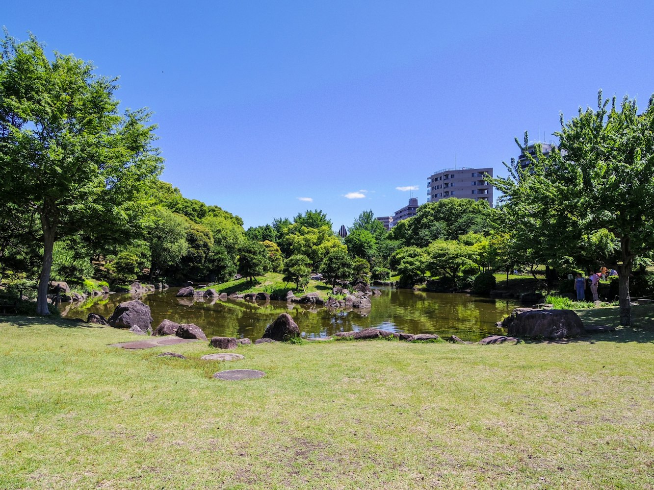 春の浅草を彩る桜｜隅田公園