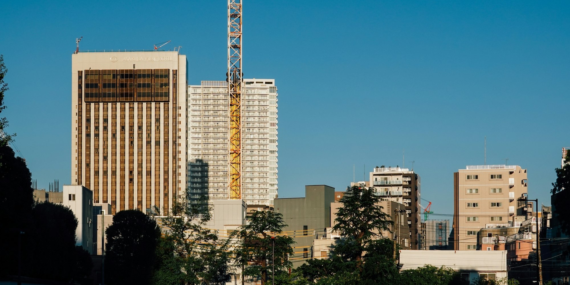 日本最古のジェットコースターがある|浅草花やしき