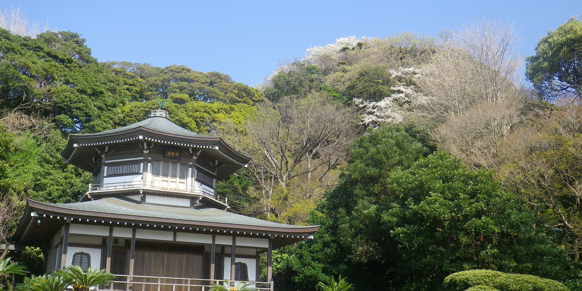 精進料理を頂く|鎌倉光明寺