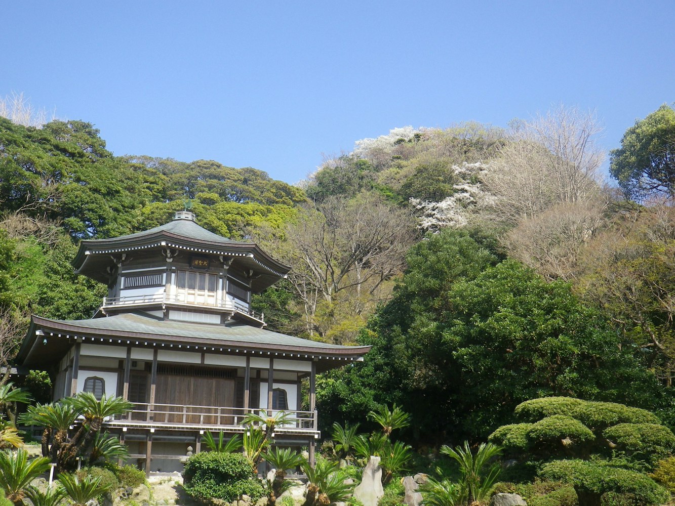 精進料理を頂く｜鎌倉光明寺