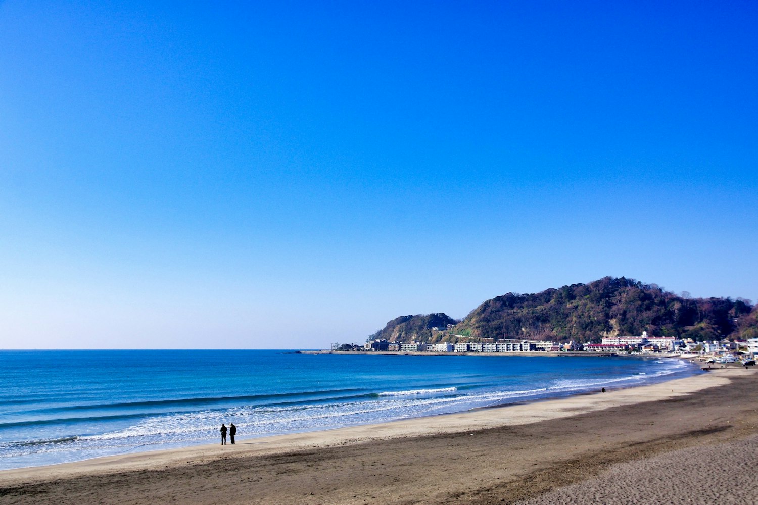 ガラス張りの海のお店｜材木座テラス