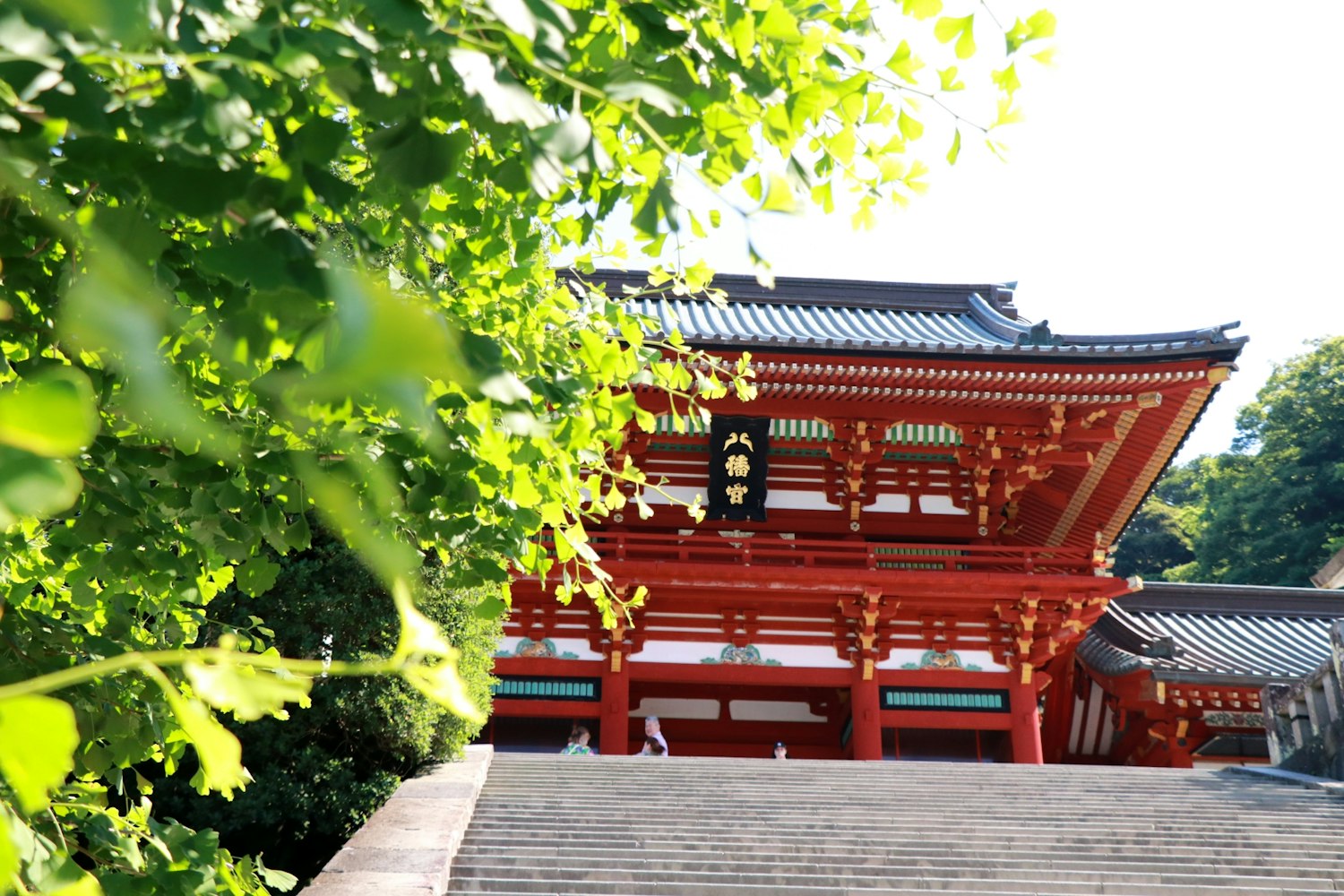 広く美しい神社｜鶴岡八幡宮