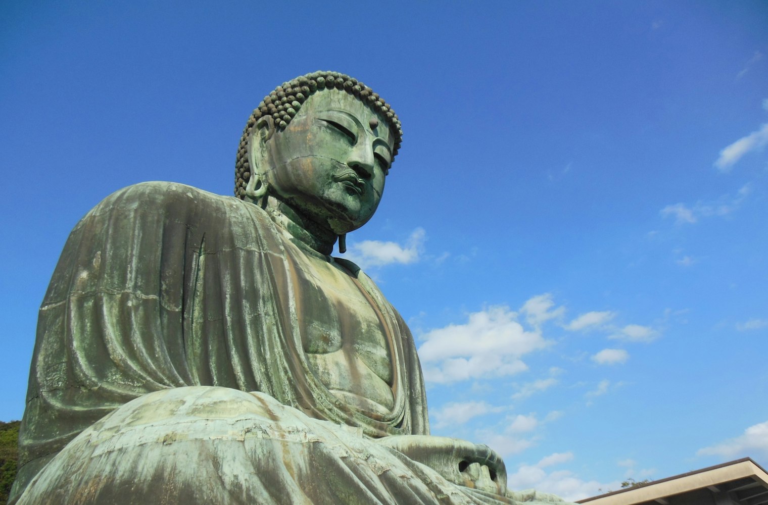鎌倉名物！｜鎌倉大仏殿高徳院