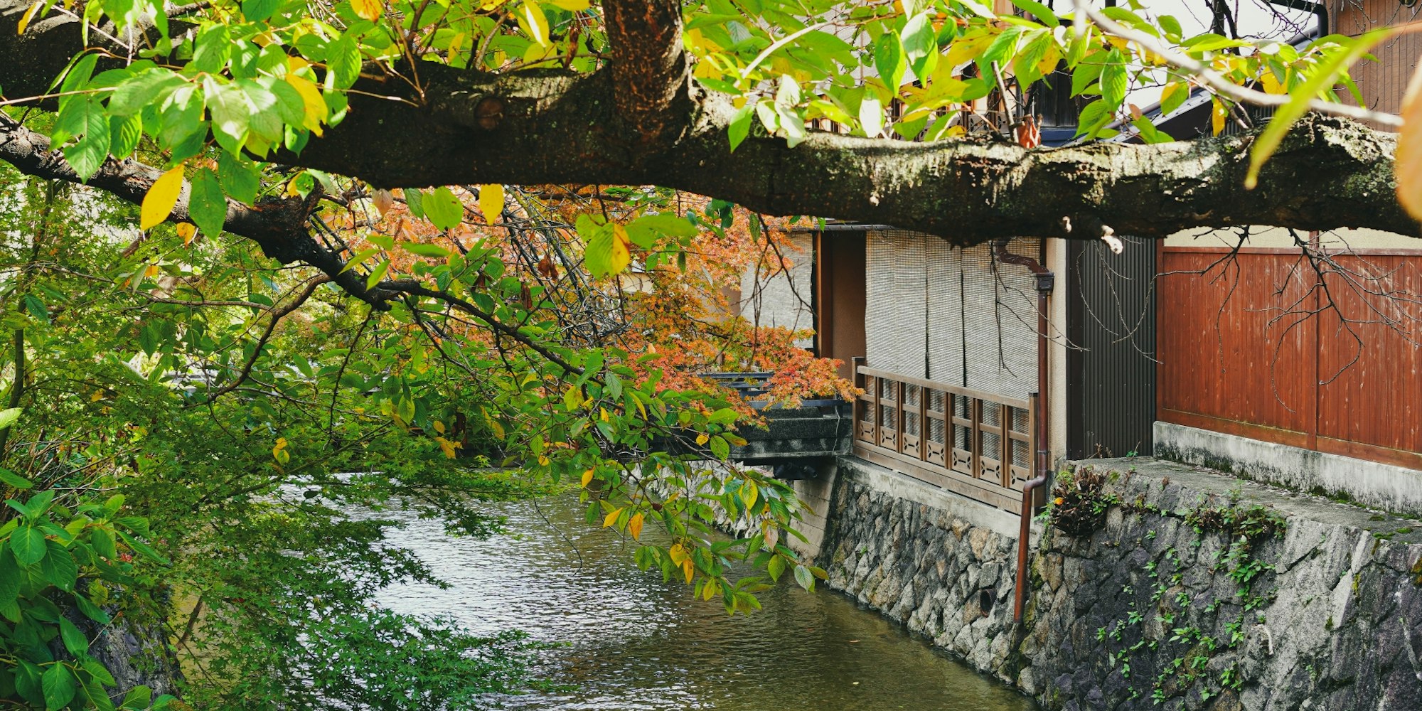 【2025年】一度は行きたい祇園のおすすめ観光スポット32選!観光マップ付きで紹介|京都着物レンタルwargo