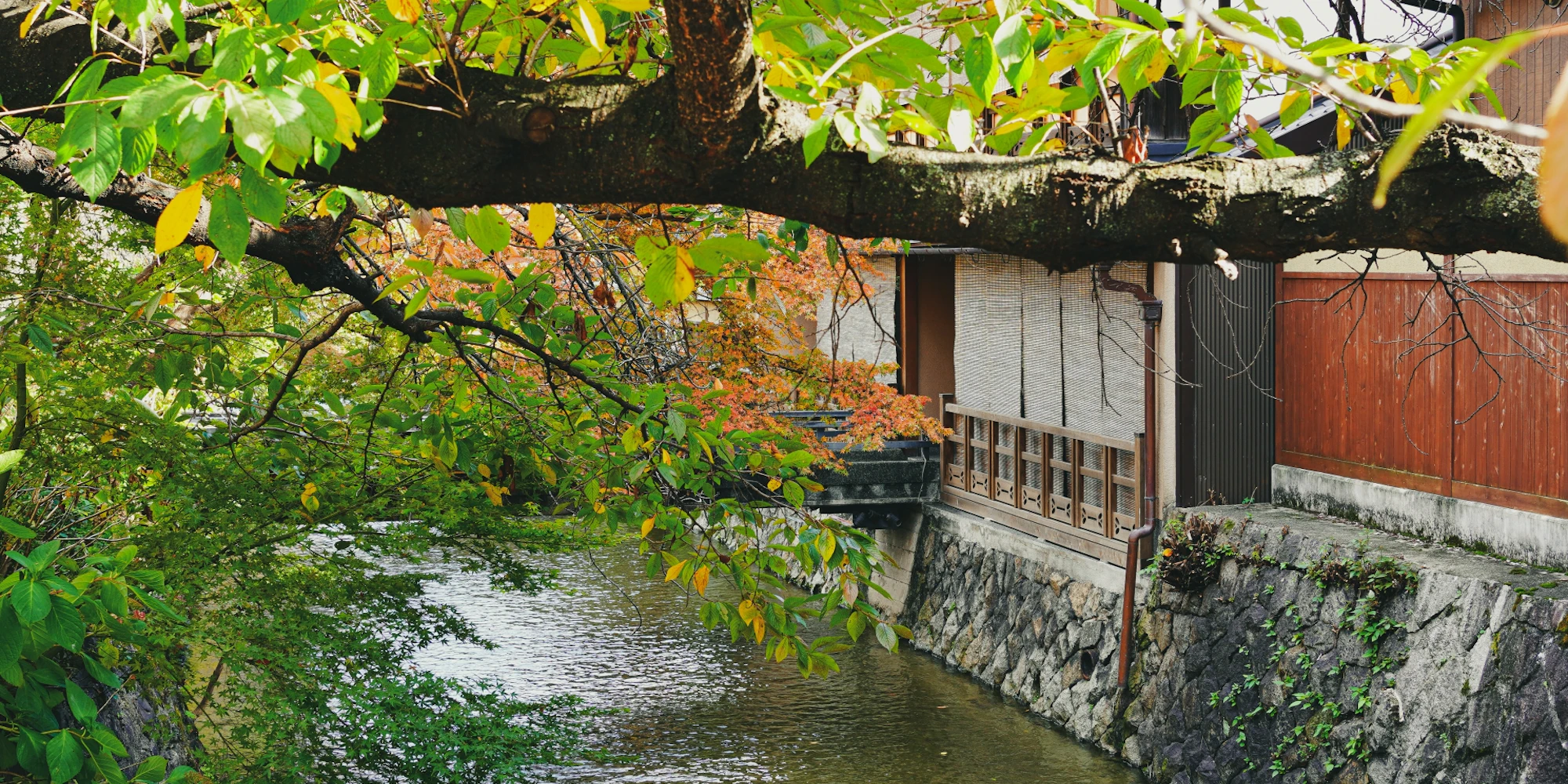 【2025年】一度は行きたい祇園のおすすめ観光スポット32選!観光マップ付きで紹介