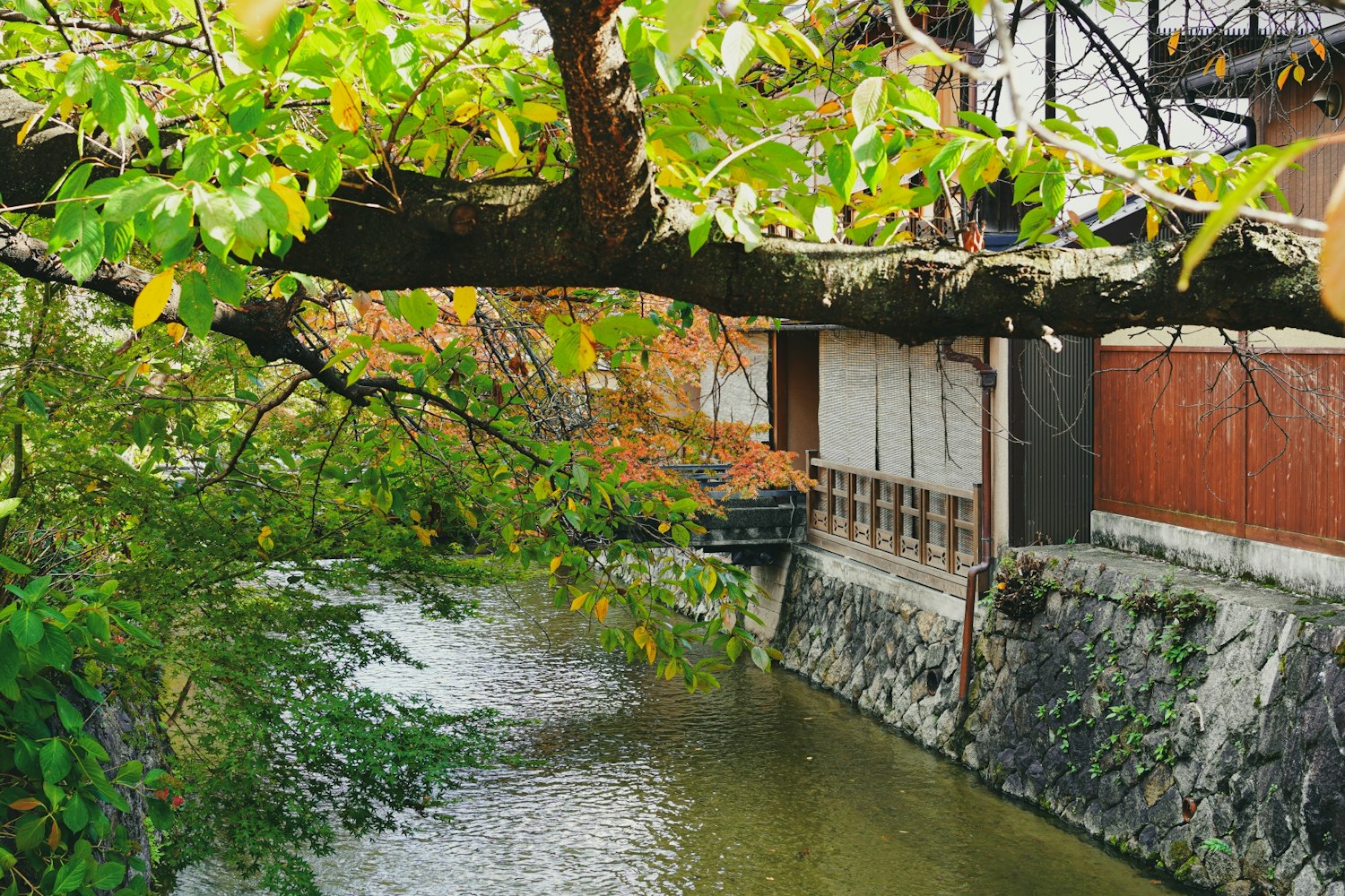 Eyecatch画像 | 【2024】32 Must-Visit Tourist Spots in Gion! Introducing with a Tourist Map