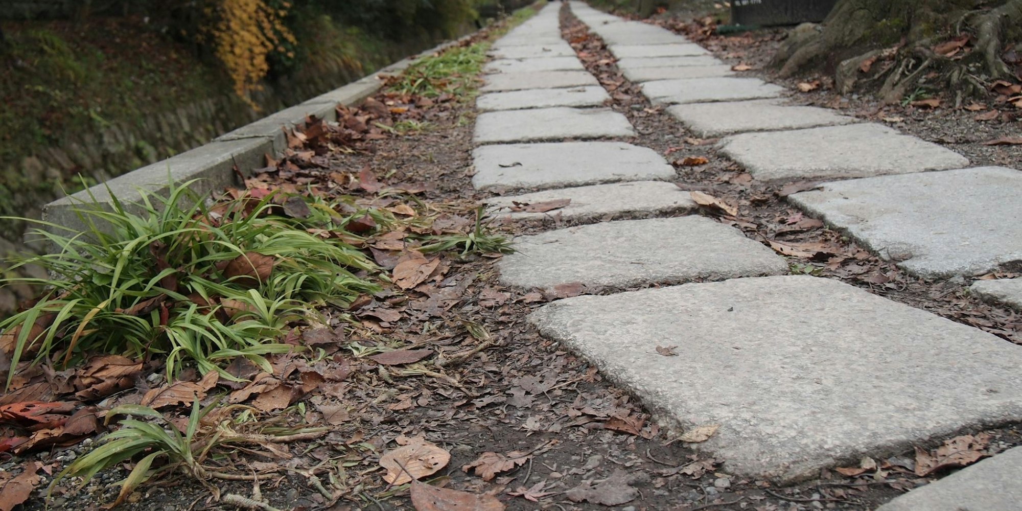 カフェ巡りが好きなら|哲学の道