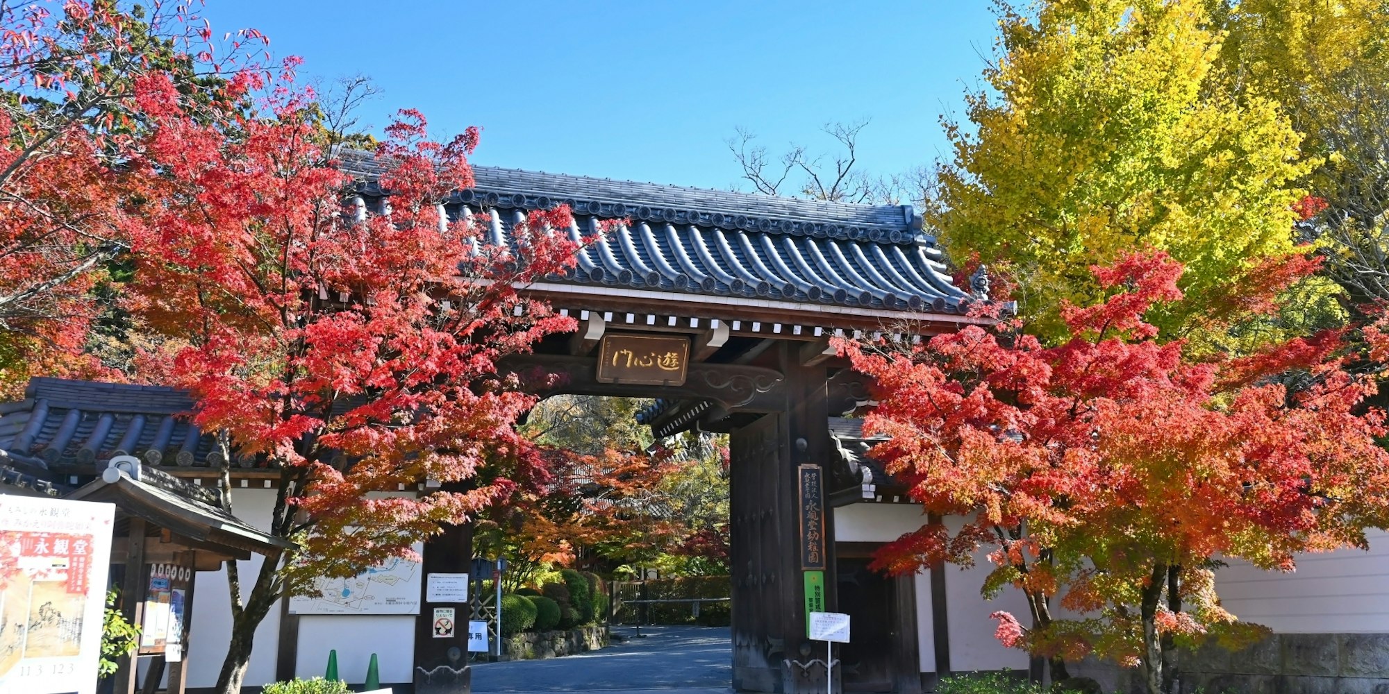 紅葉の名所|禅林寺永観堂