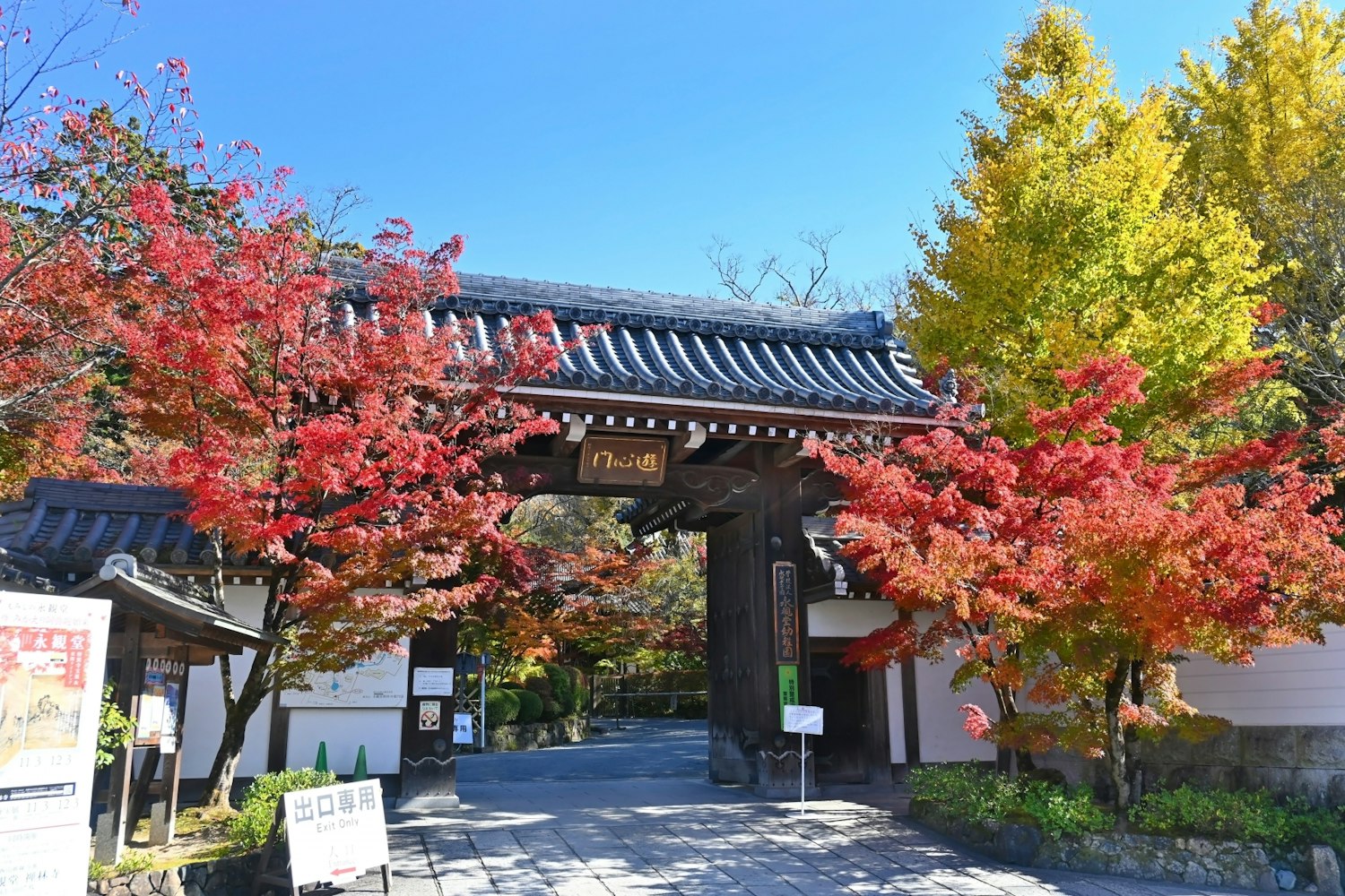 紅葉の名所｜禅林寺永観堂