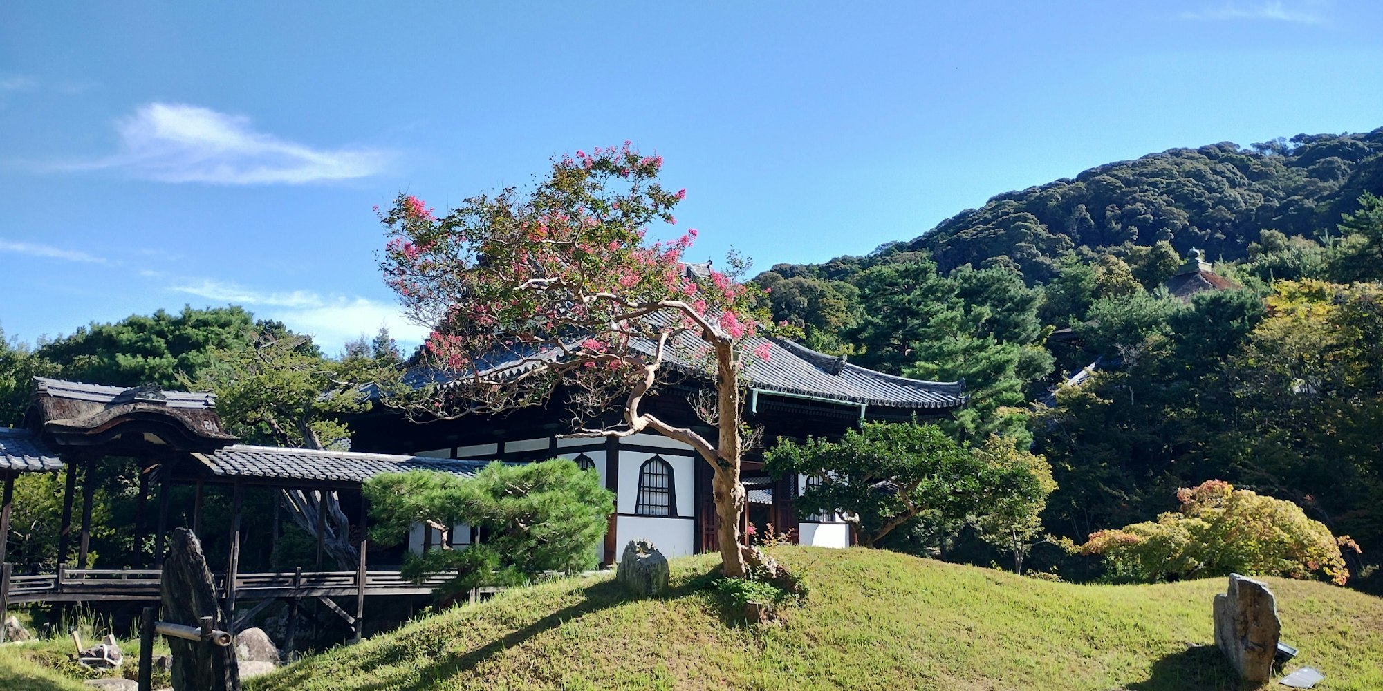 秀吉の魂が眠る場所|高台寺