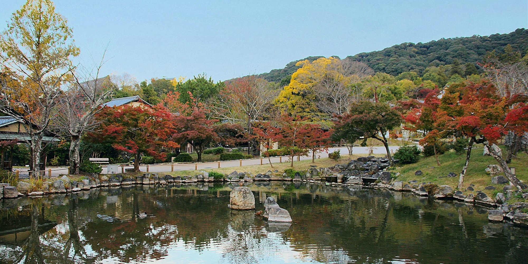 京都市最古の公園|円山公園