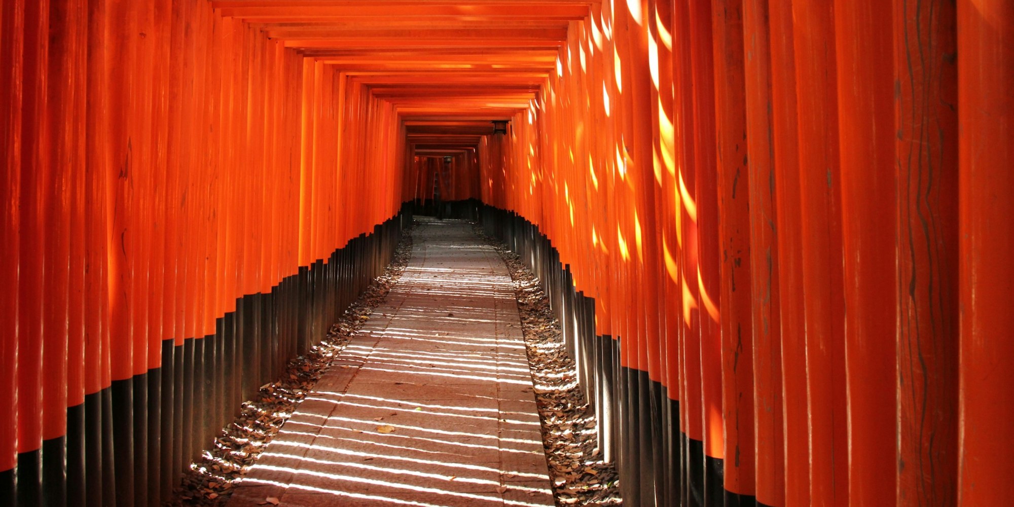 鳥居がズラリと並ぶ|伏見稲荷大社