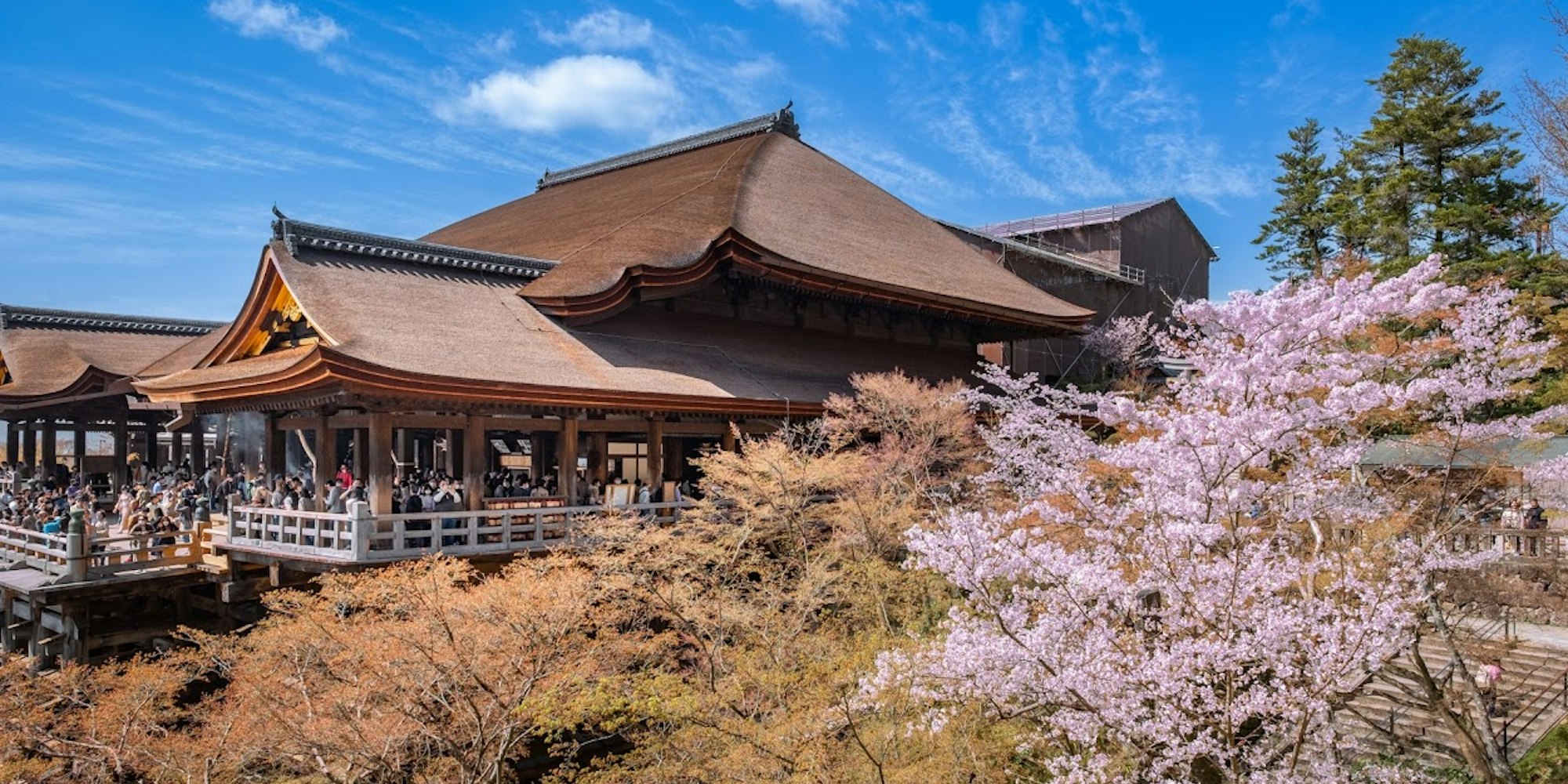 春の清水寺 春の清水寺