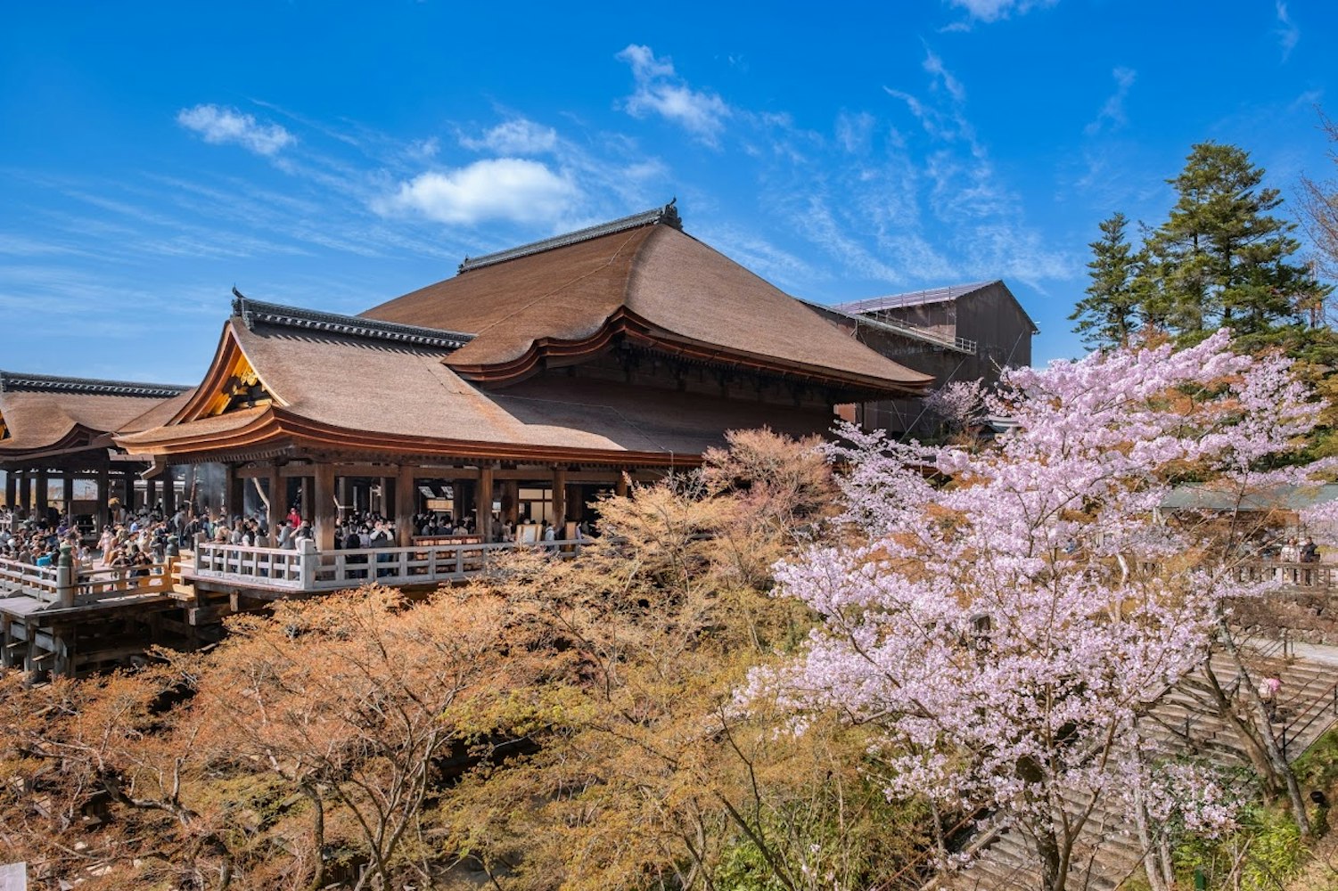 春の清水寺