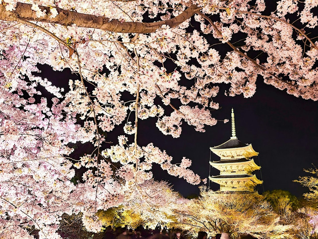 Eyecatch画像 | 春の京都を楽しめる３月の観光スポット10選