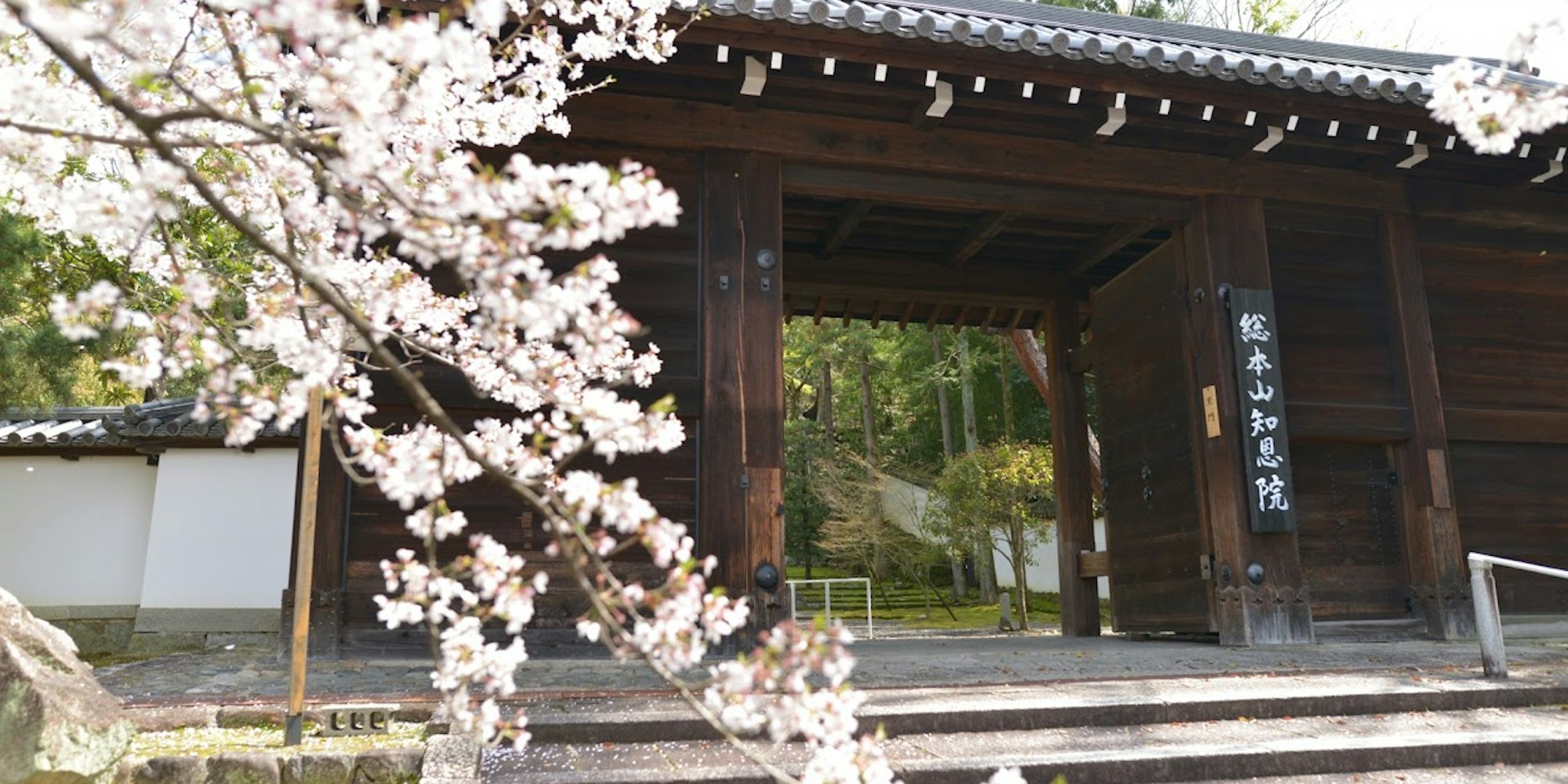 春の知恩院 春の知恩院
