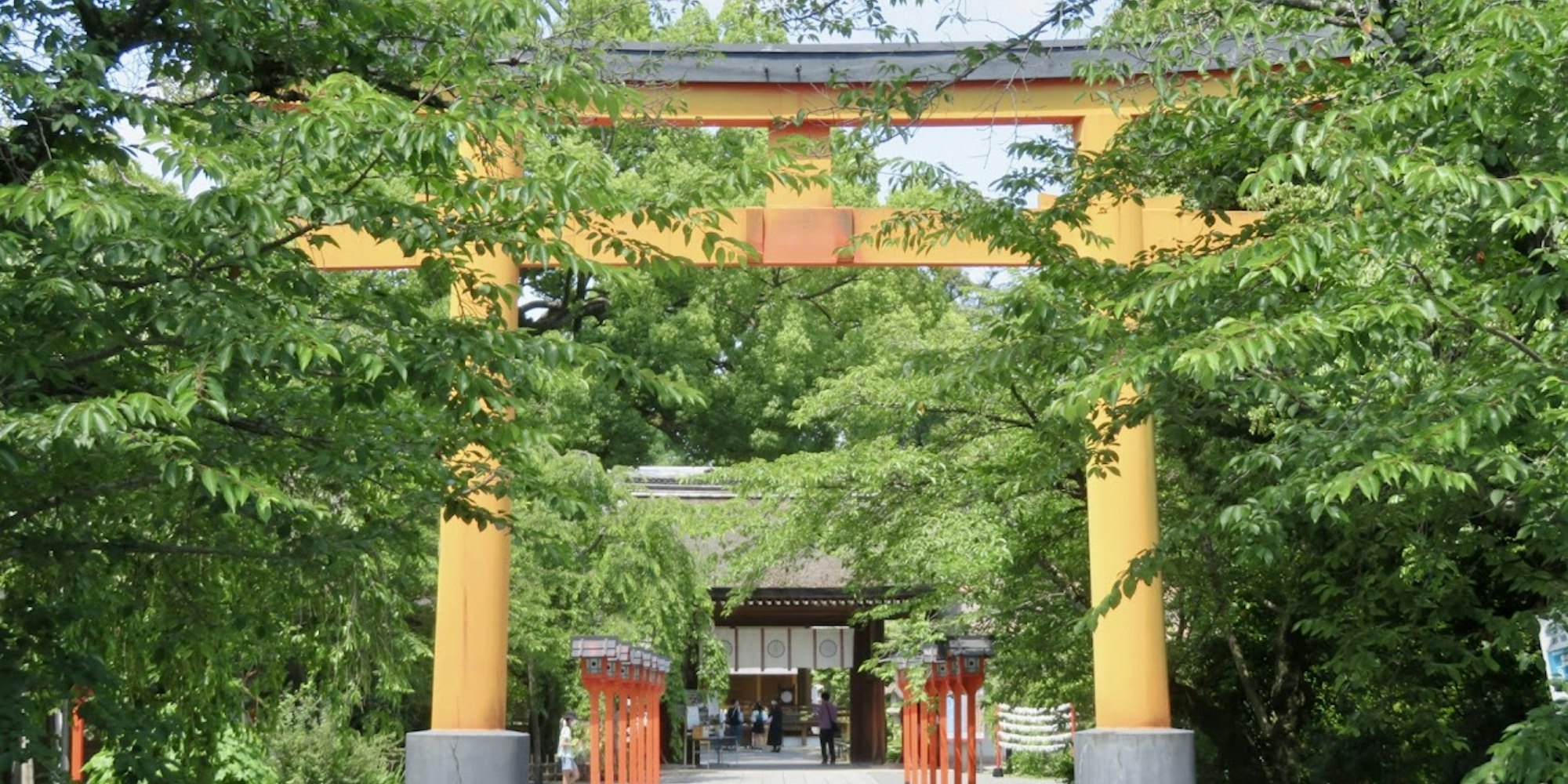 春の平野神社 春の平野神社
