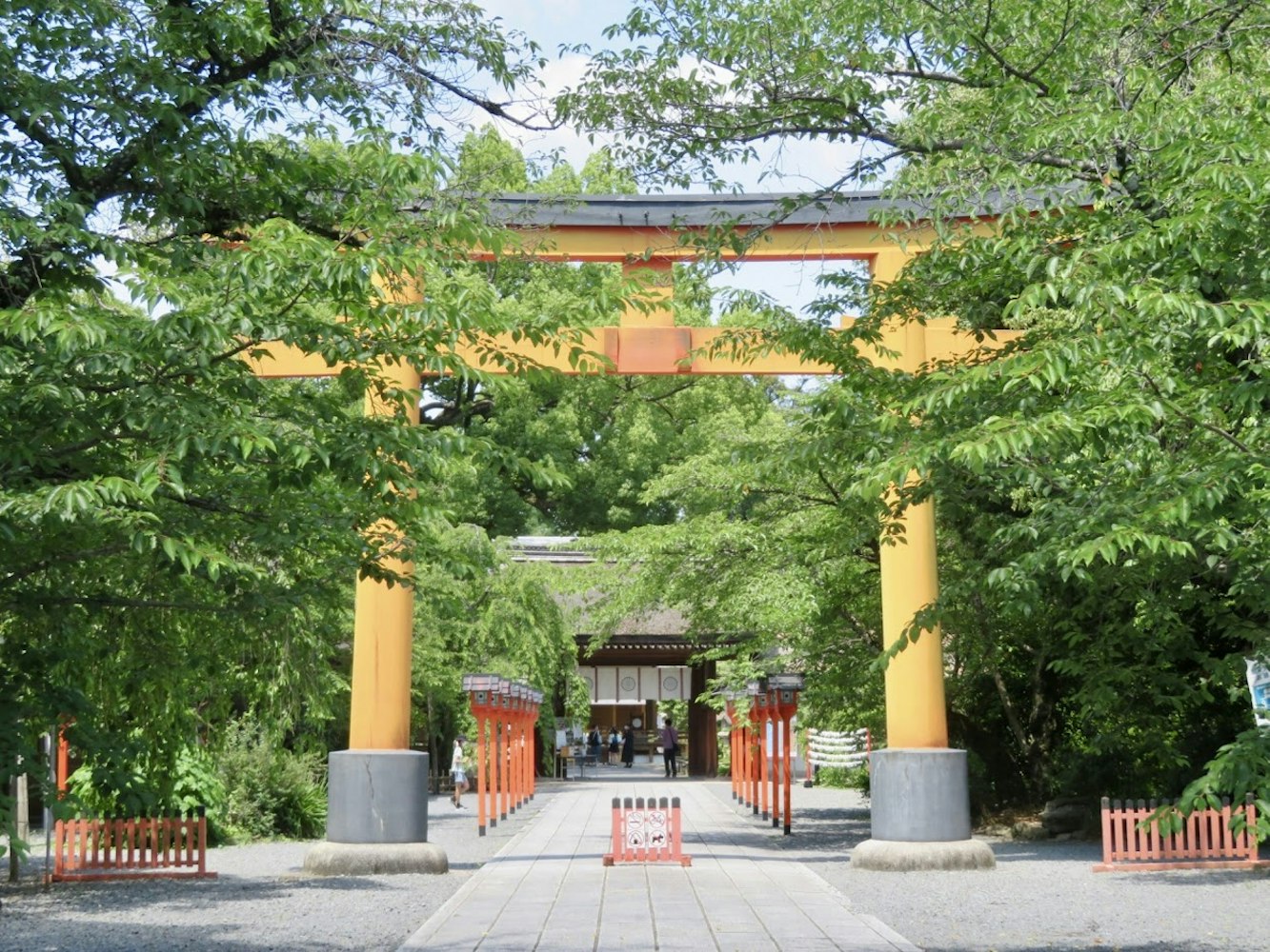 春の平野神社