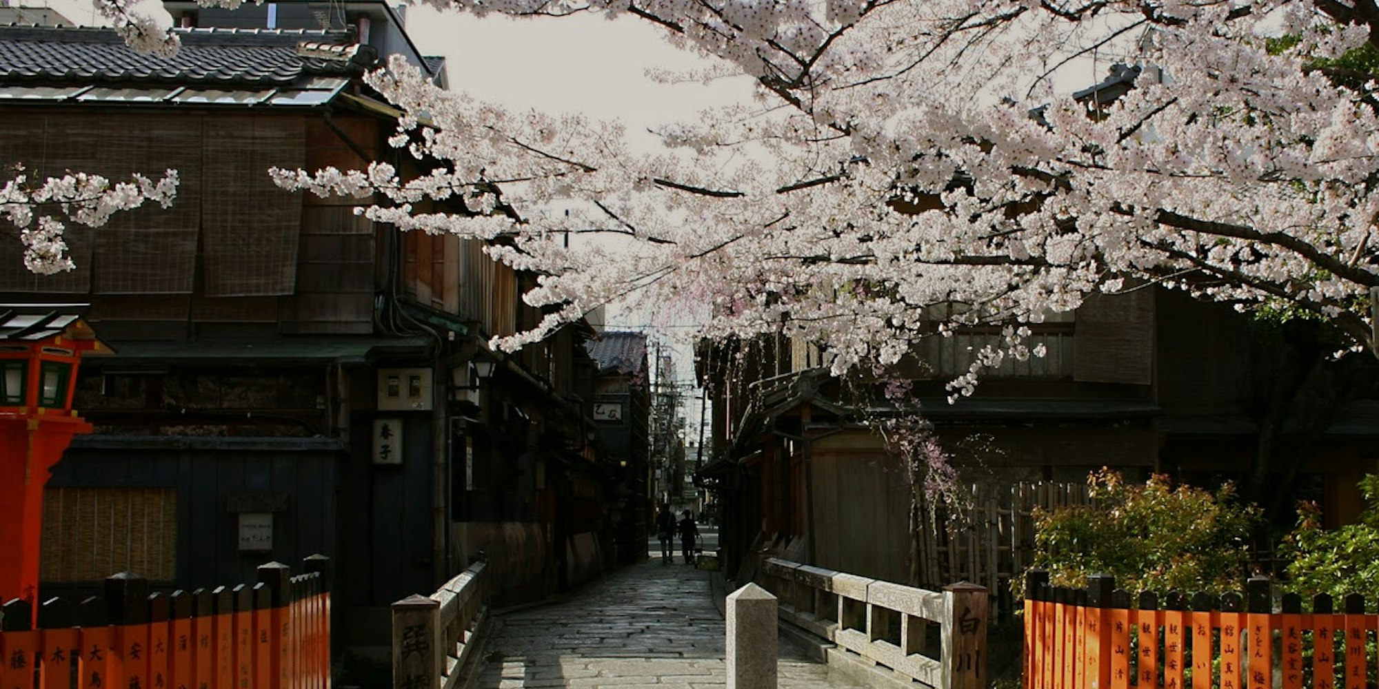 祇園白川と桜 祇園白川と桜