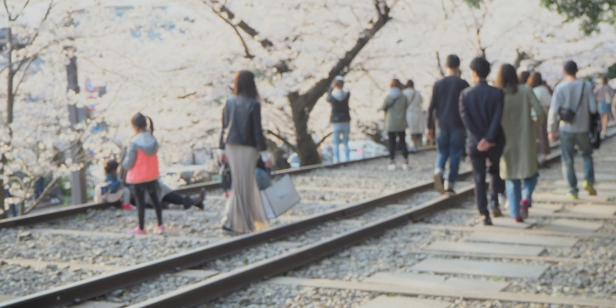 蹴上インクラインと桜 蹴上インクラインと桜