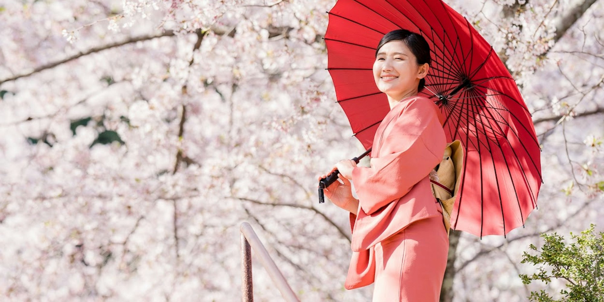 桜と着物の画像 桜と着物の画像