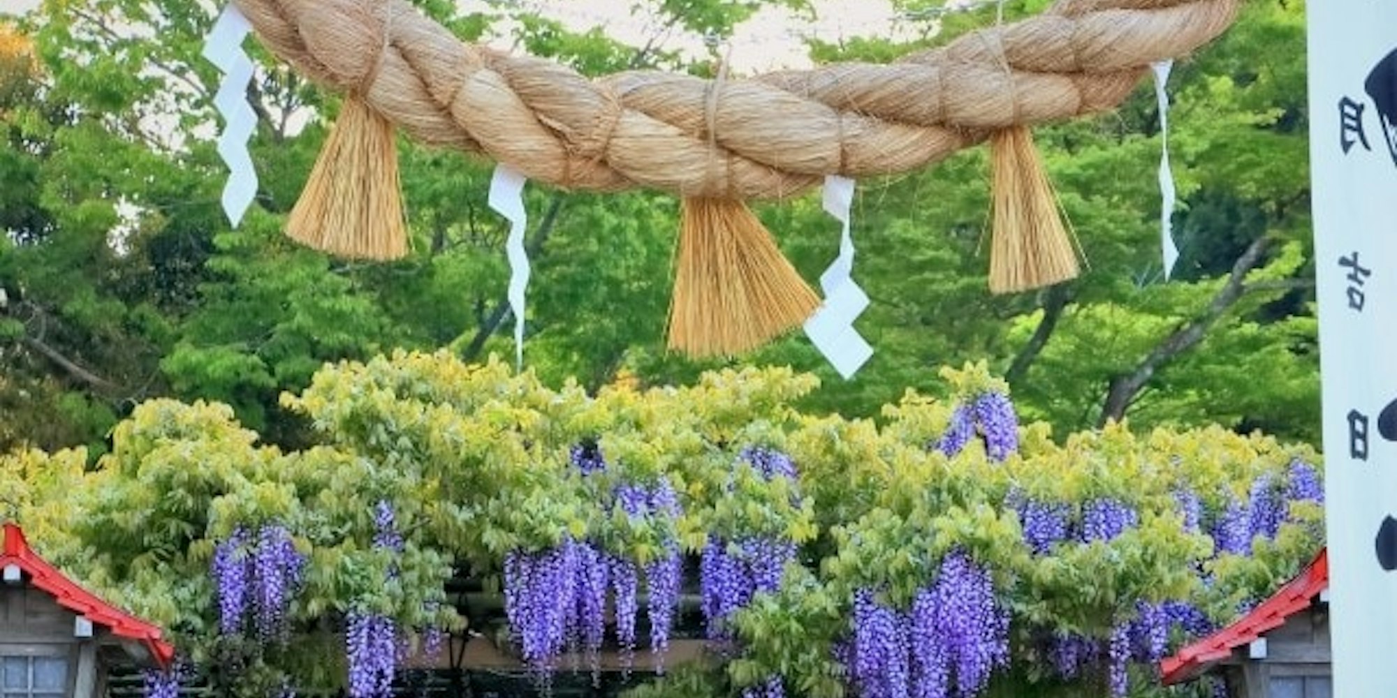 金運アップのご利益がある「金蛇水神社(かなへびすいじんじゃ)」