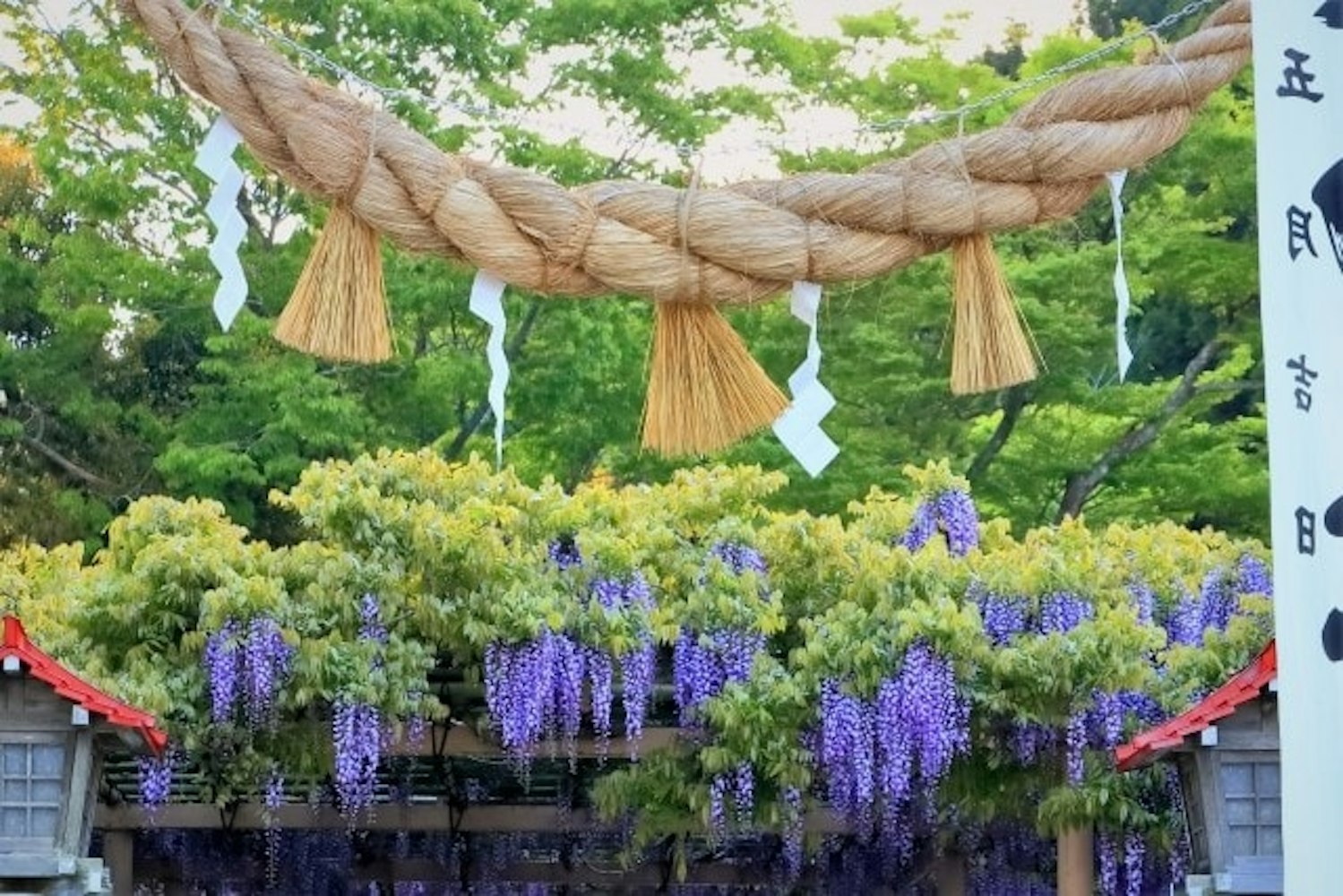 金運アップのご利益がある「金蛇水神社（かなへびすいじんじゃ）」