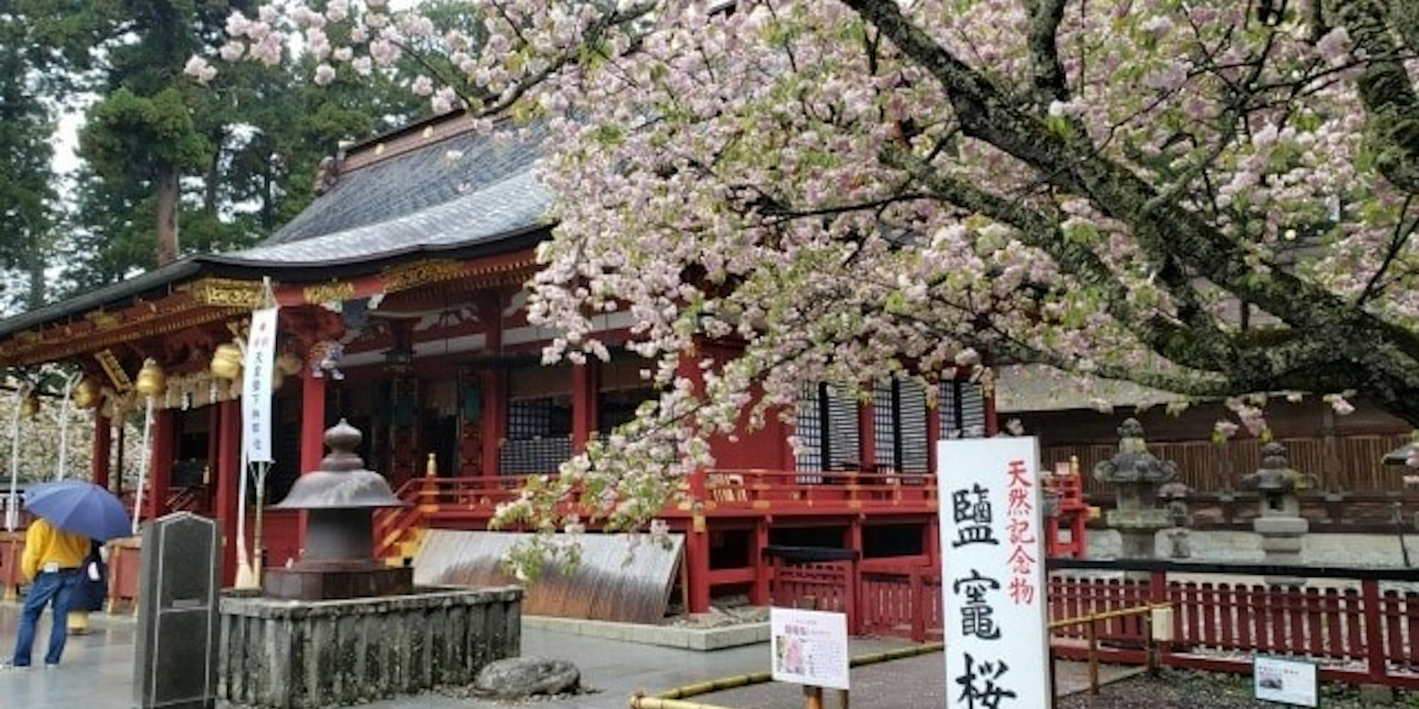 宮城県のパワースポット「志波彦神社・鹽竈神社(しわひこじんじゃ)」
