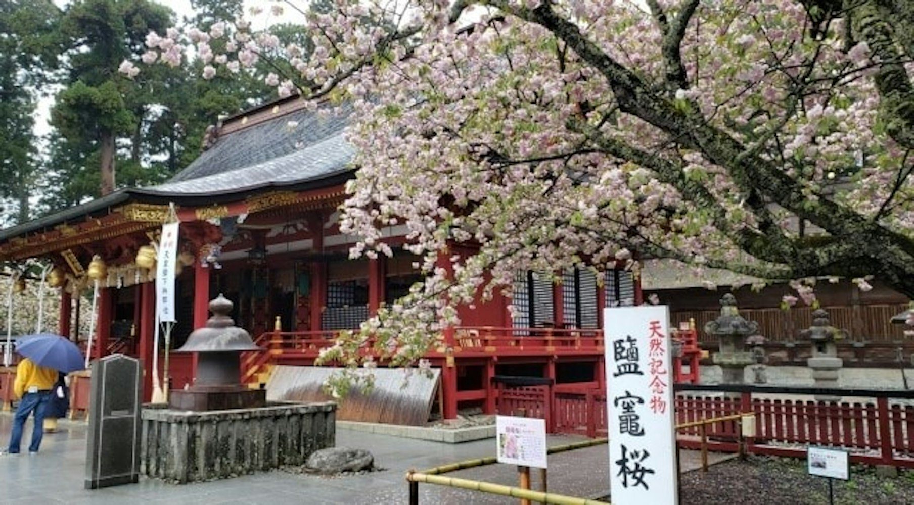 宮城県のパワースポット「志波彦神社・鹽竈神社（しわひこじんじゃ）」