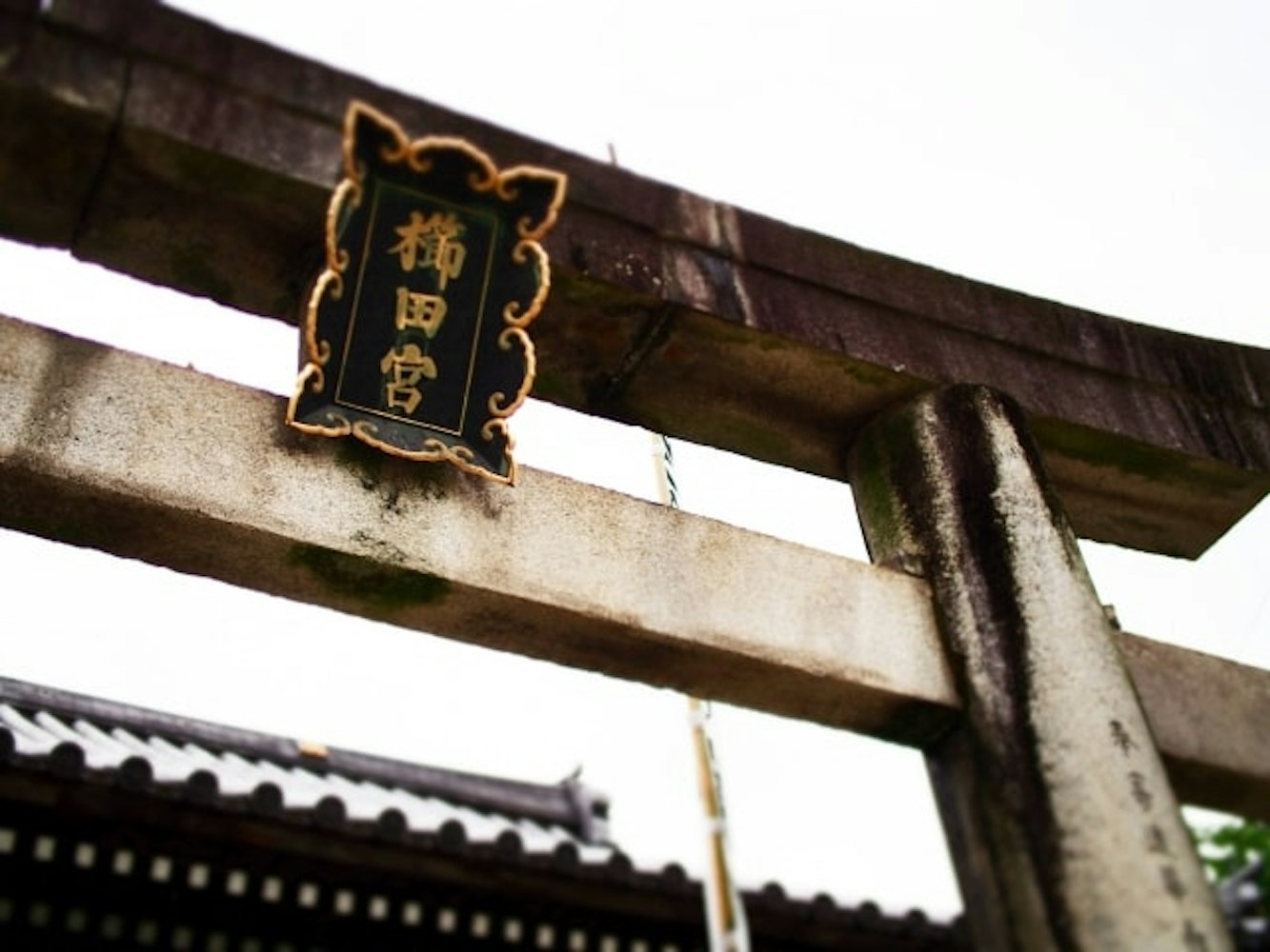 博多の守り神！櫛田神社