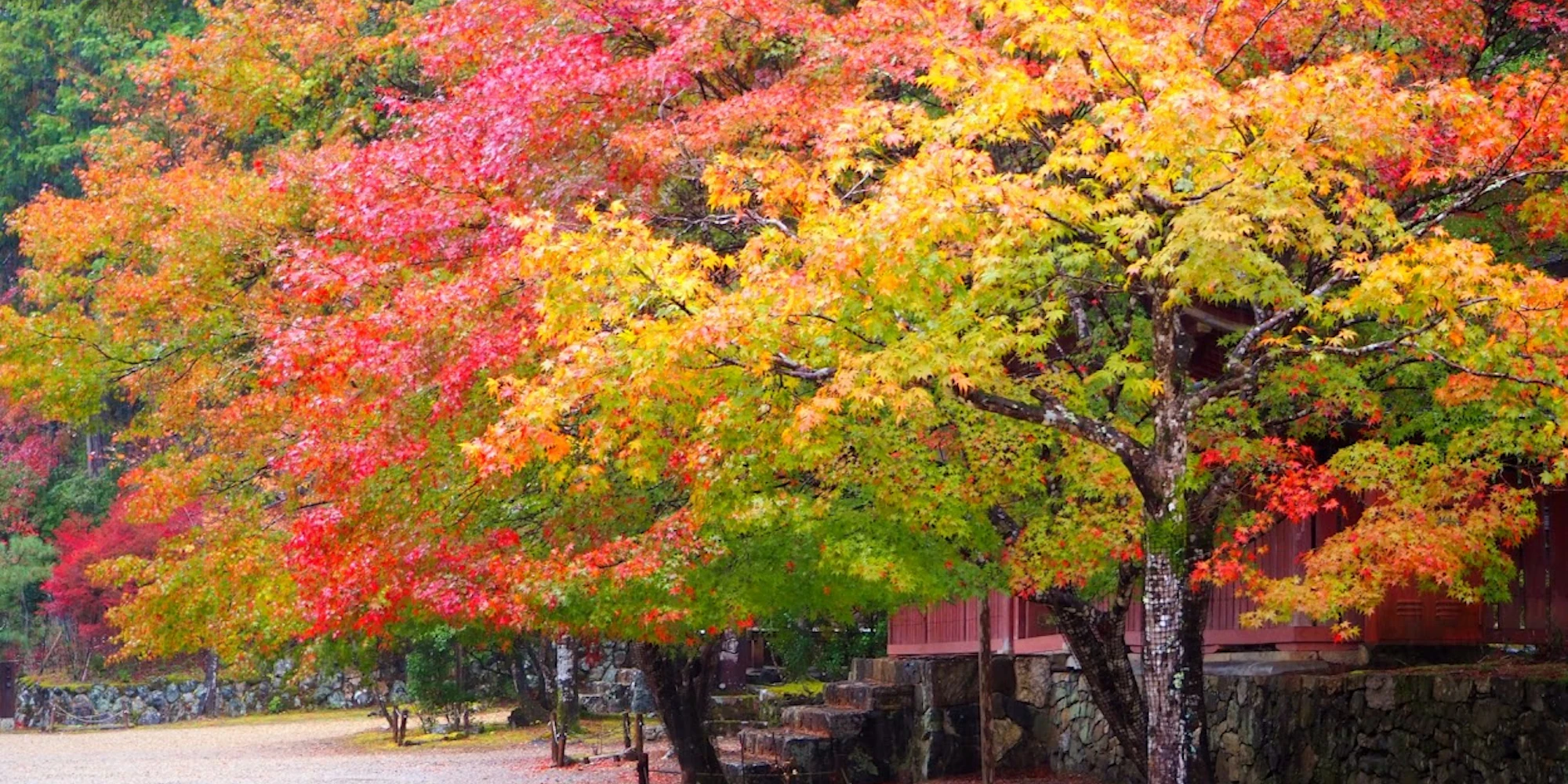 【2025年最新】9月の京都観光で秋を感じられる人気スポット10選