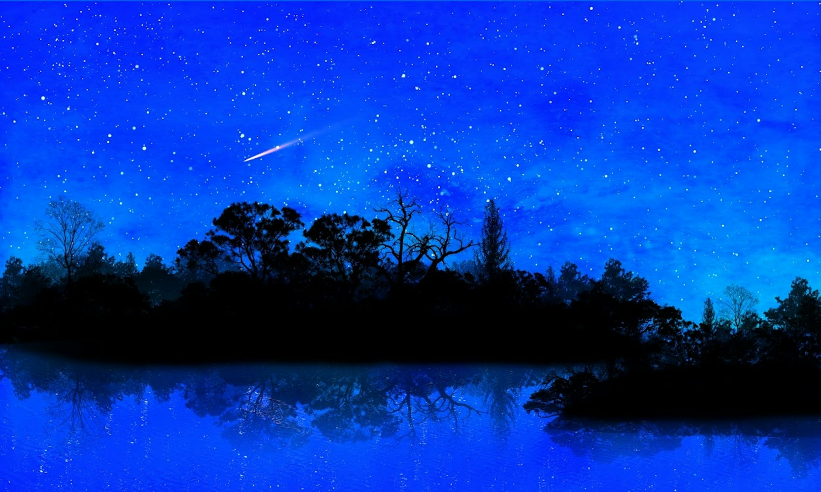 2人で幻想的な空間に酔いしれる