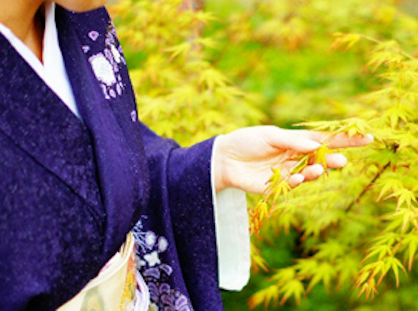 Eyecatch画像 | 