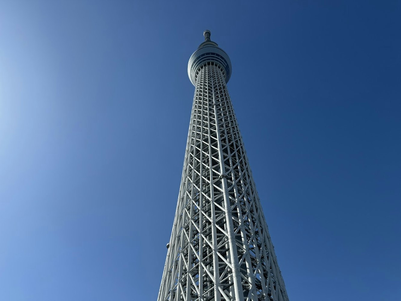 季節に合わせて様々なライトアップが楽しめる
