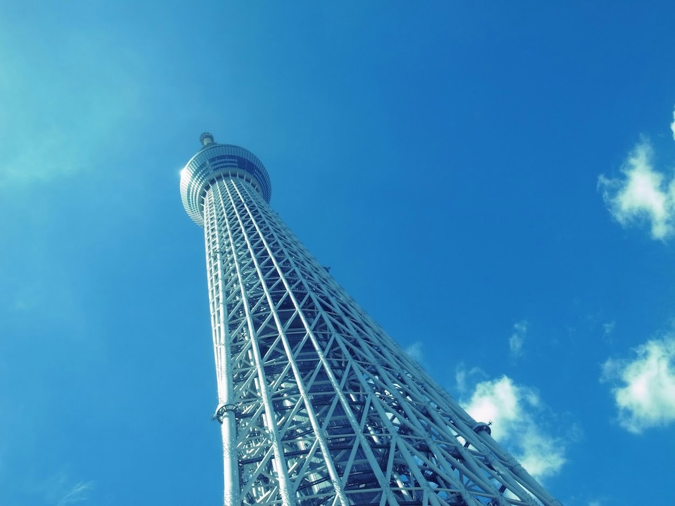 夜のライトアップも魅力