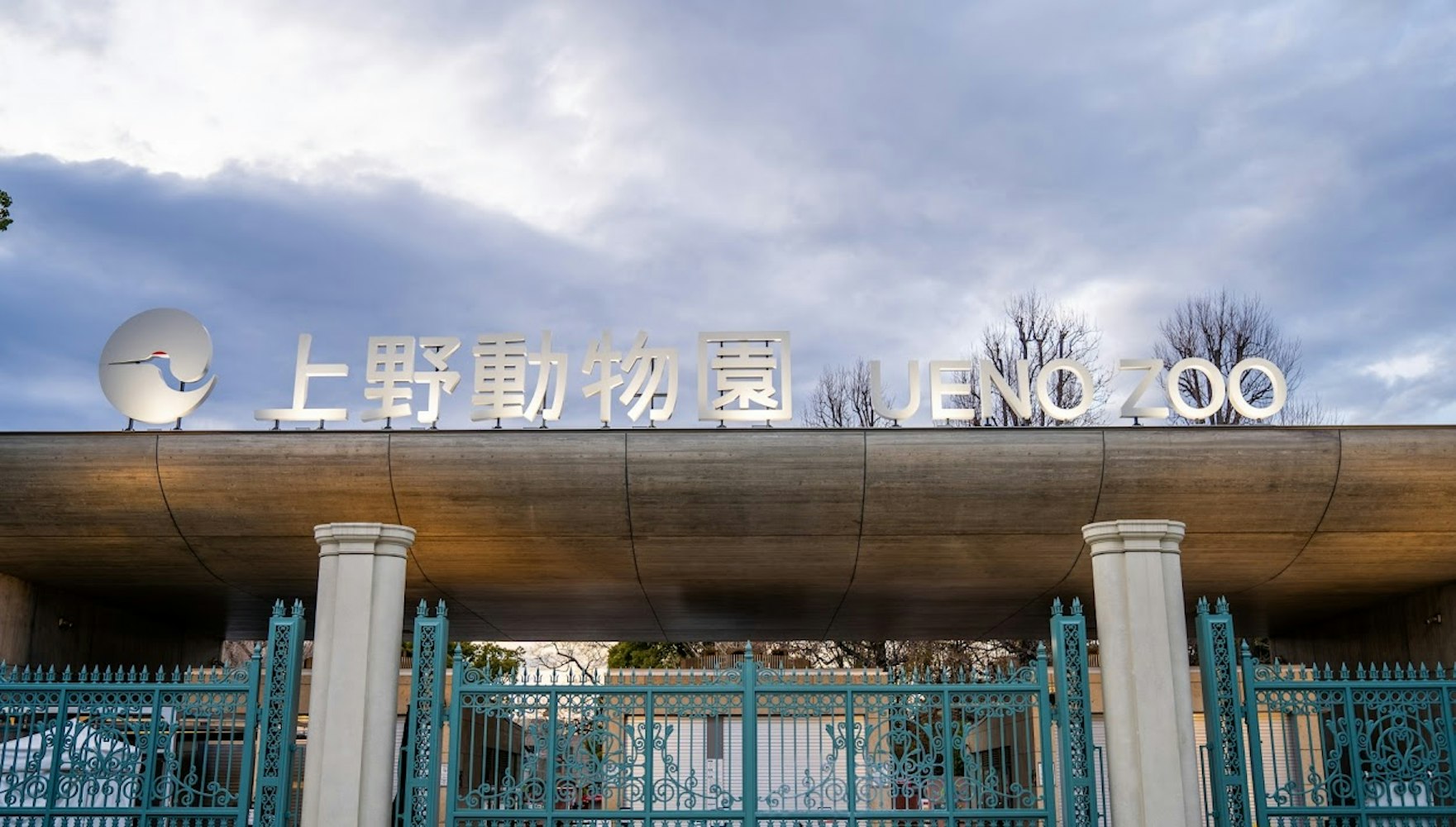 パンダをみるなら上野動物園へ