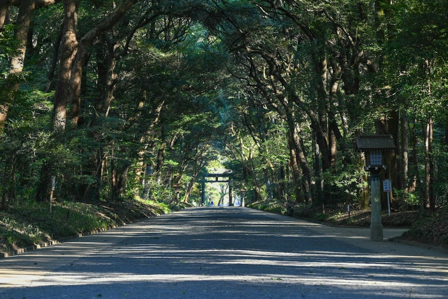 東京の騒がしさを感じさせない伝統的な神社
