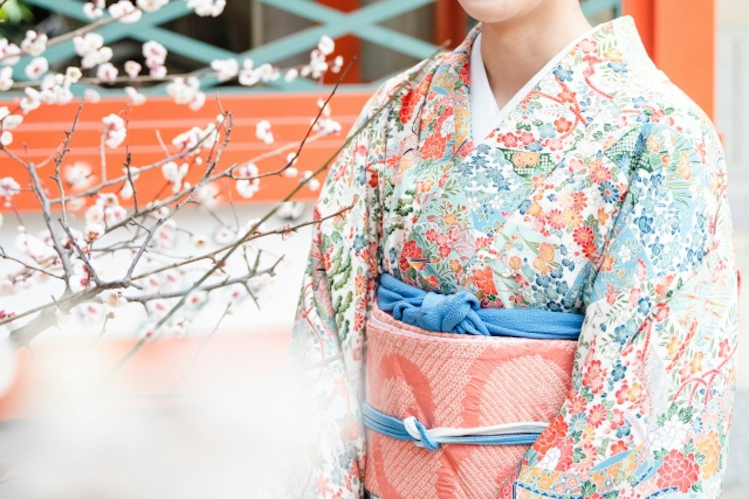 Eyecatch画像 | February 2025 – Now in Full Bloom! Introducing the Best ‘Plum Blossom’ Spots in Tokyo♩