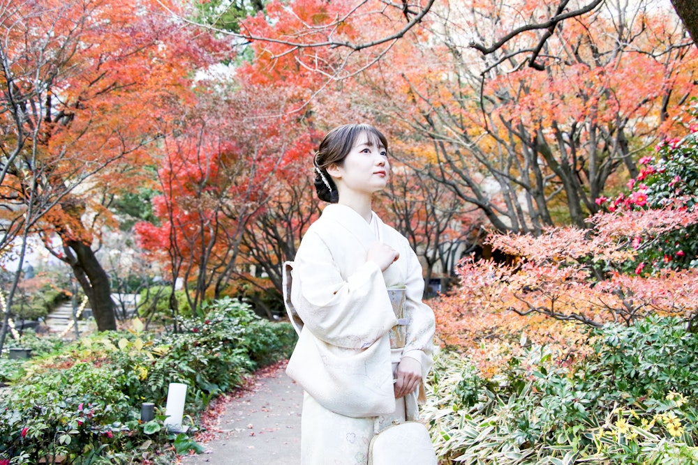 Eyecatch画像 | 【2025年秋】穿著和服暢遊銀座｜紅葉 × 和服租借wargo