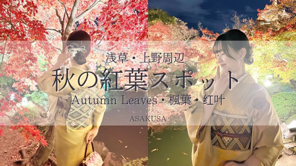 Eyecatch画像 | [Autumn 2025] Enjoy Asakusa and Ueno Area in Kimono | Autumn Leaves × Kimono Rental wargo 
