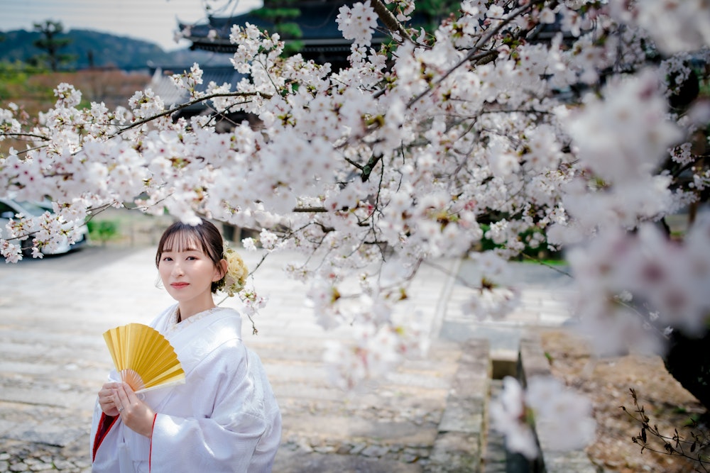 Eyecatch画像 | 【衣装追加料金なし！】今なら60着全ての衣装から選べる妥協しないこだわりの1着を！春キャンペーン｜和装前撮り・フォトウェディング Arch Bridal 